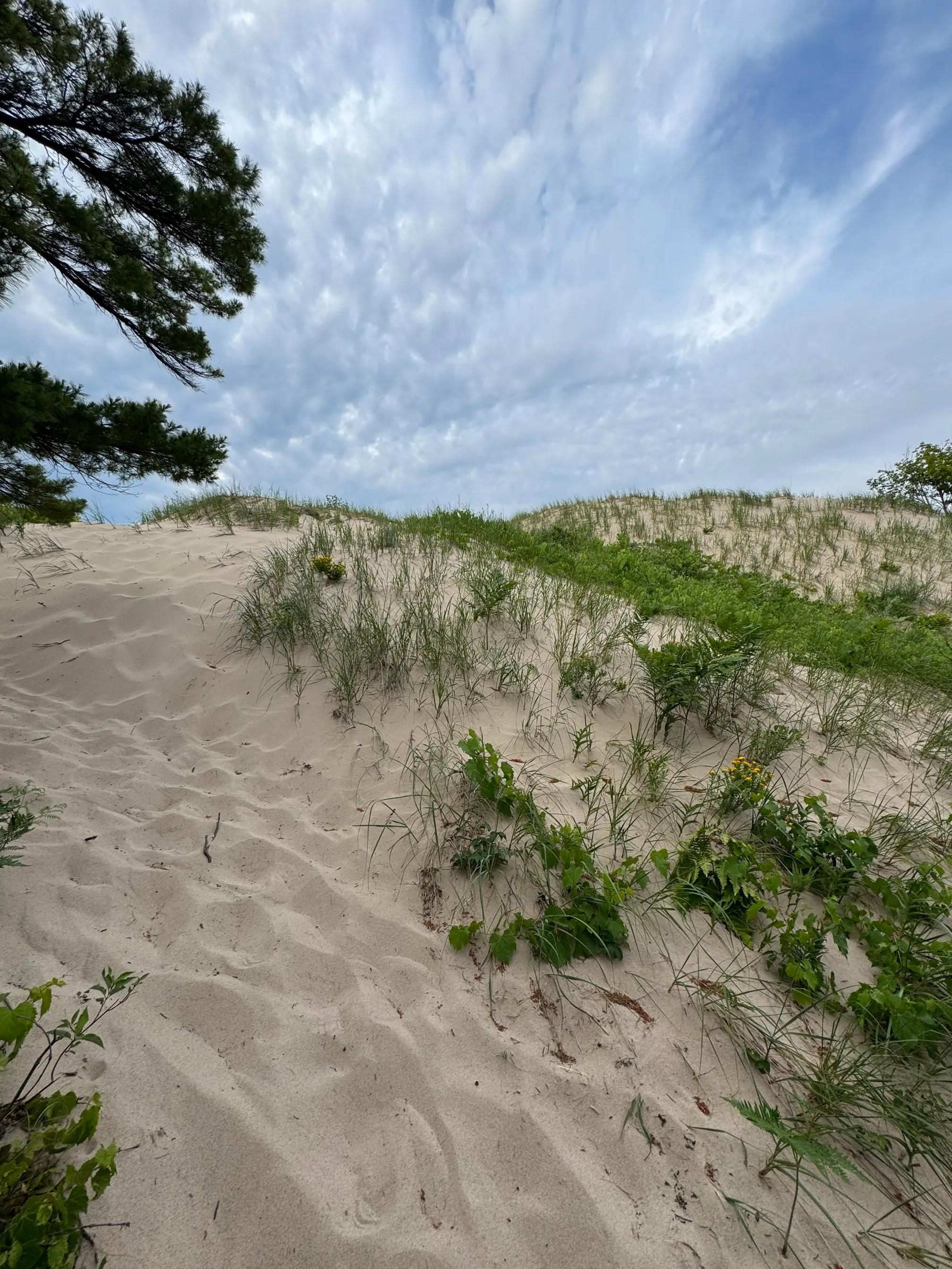 Old Indian Trails: Black Arrow and Green Arrow Loops