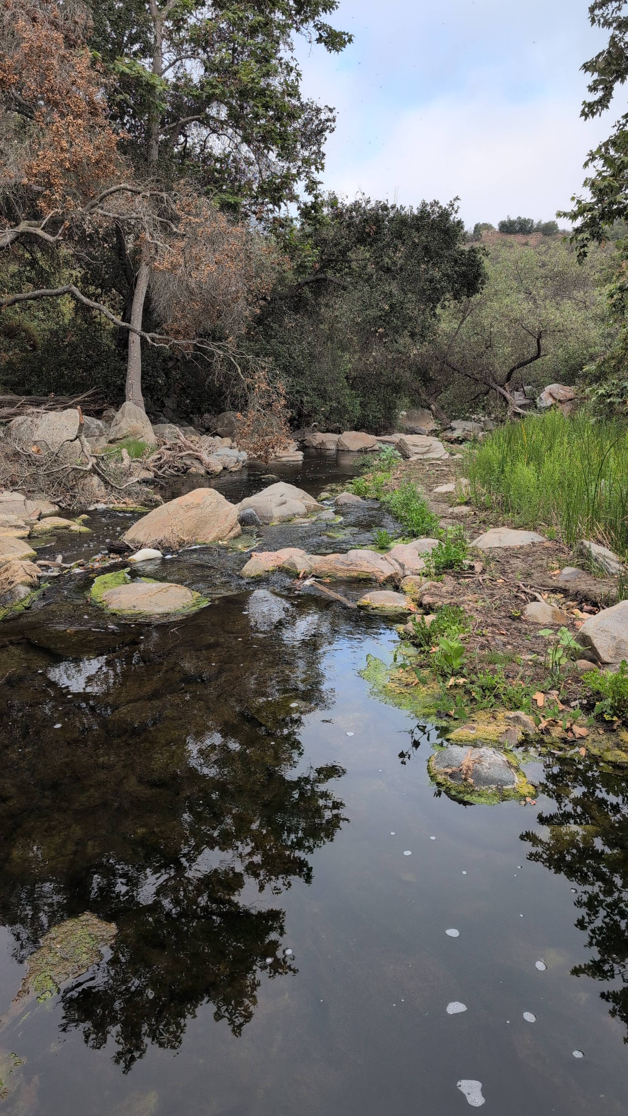 Lake Hodges Overlook