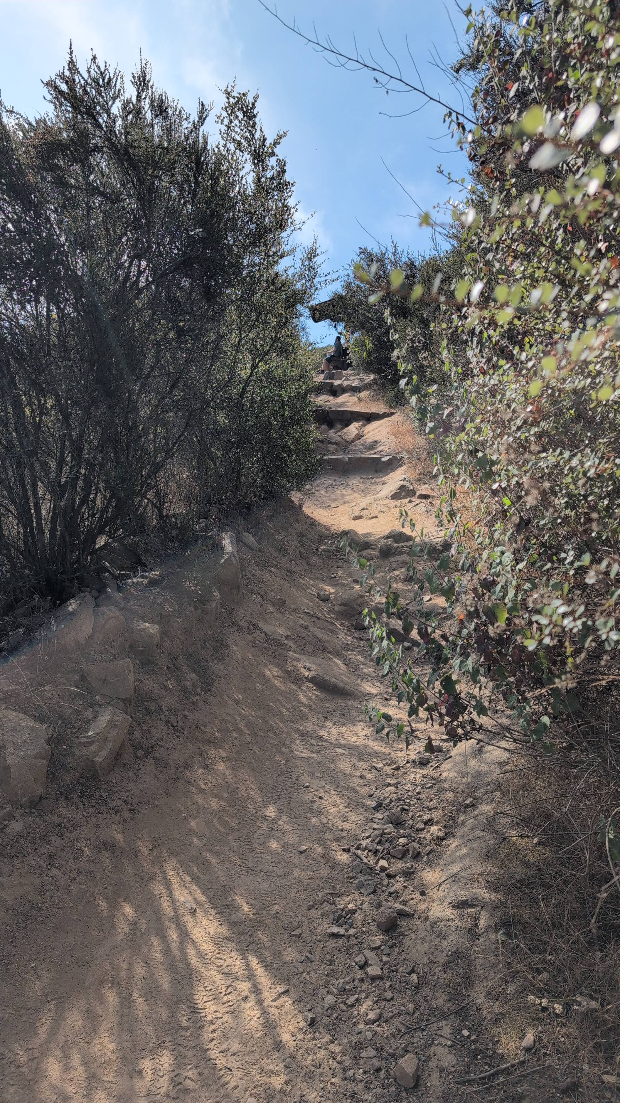 Lake Hodges Overlook