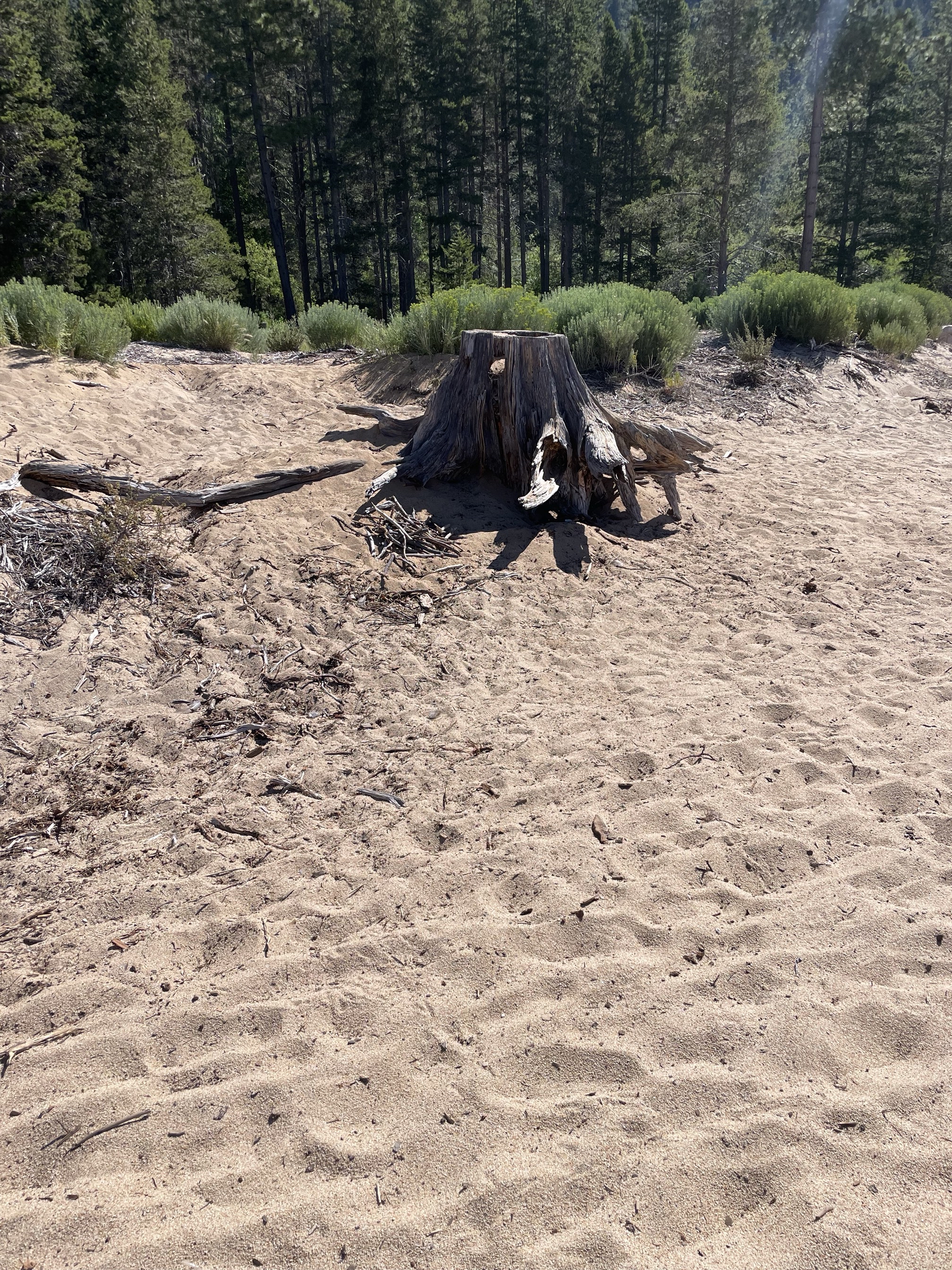 Sand Harbor Beach