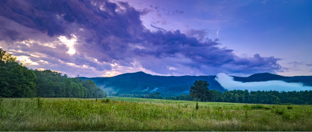 Cade's Cove Loop