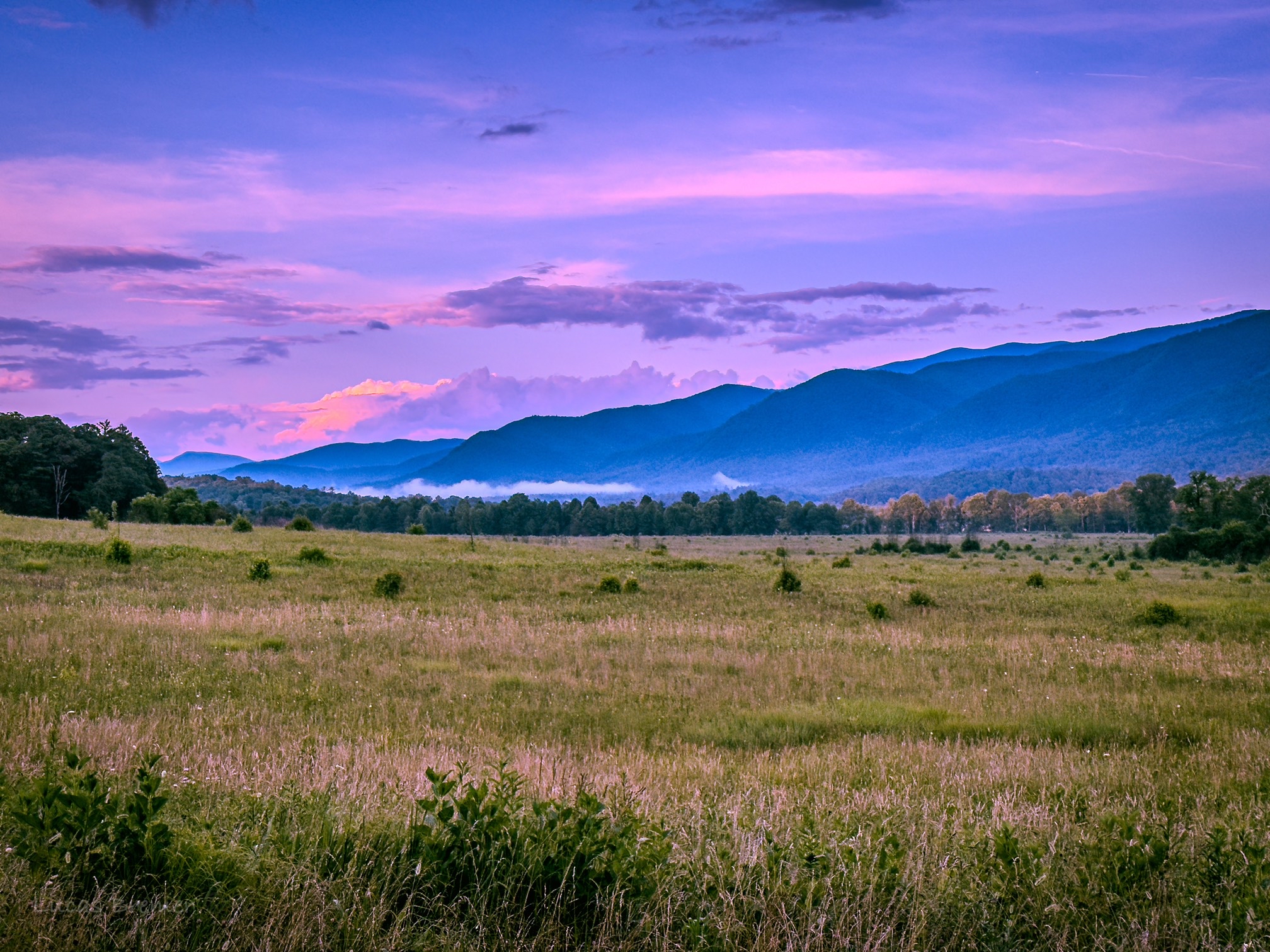 Cade's Cove Loop
