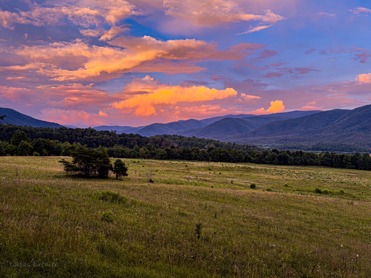 Cade's Cove Loop