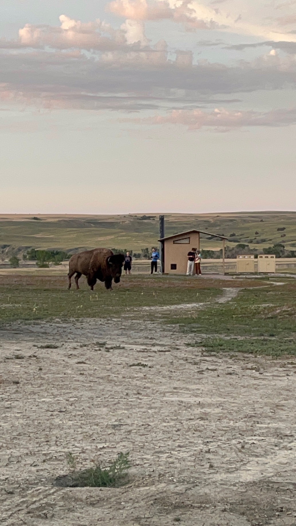 Camp at Sage Creek Campground