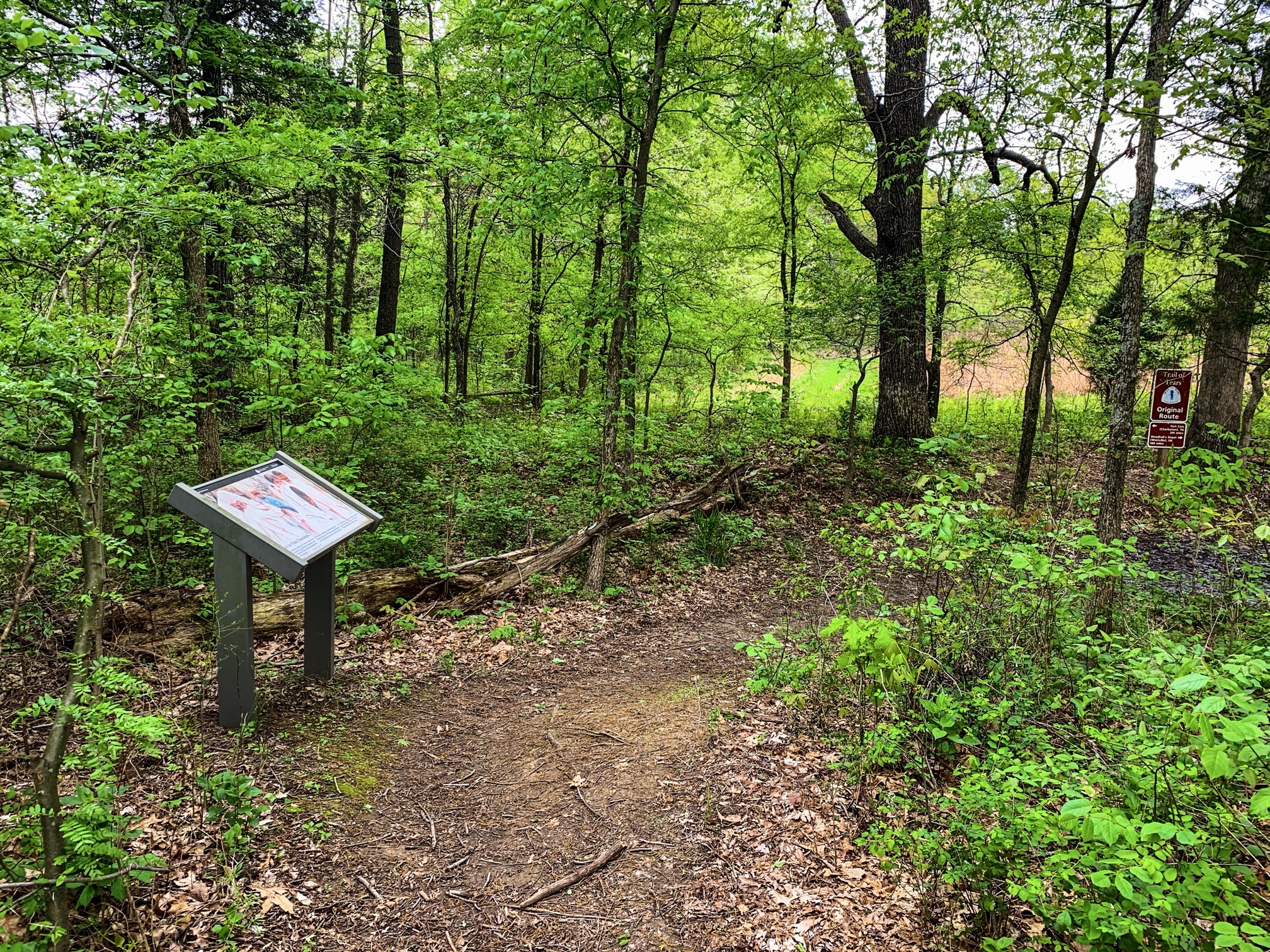 Mantle Rock Trail