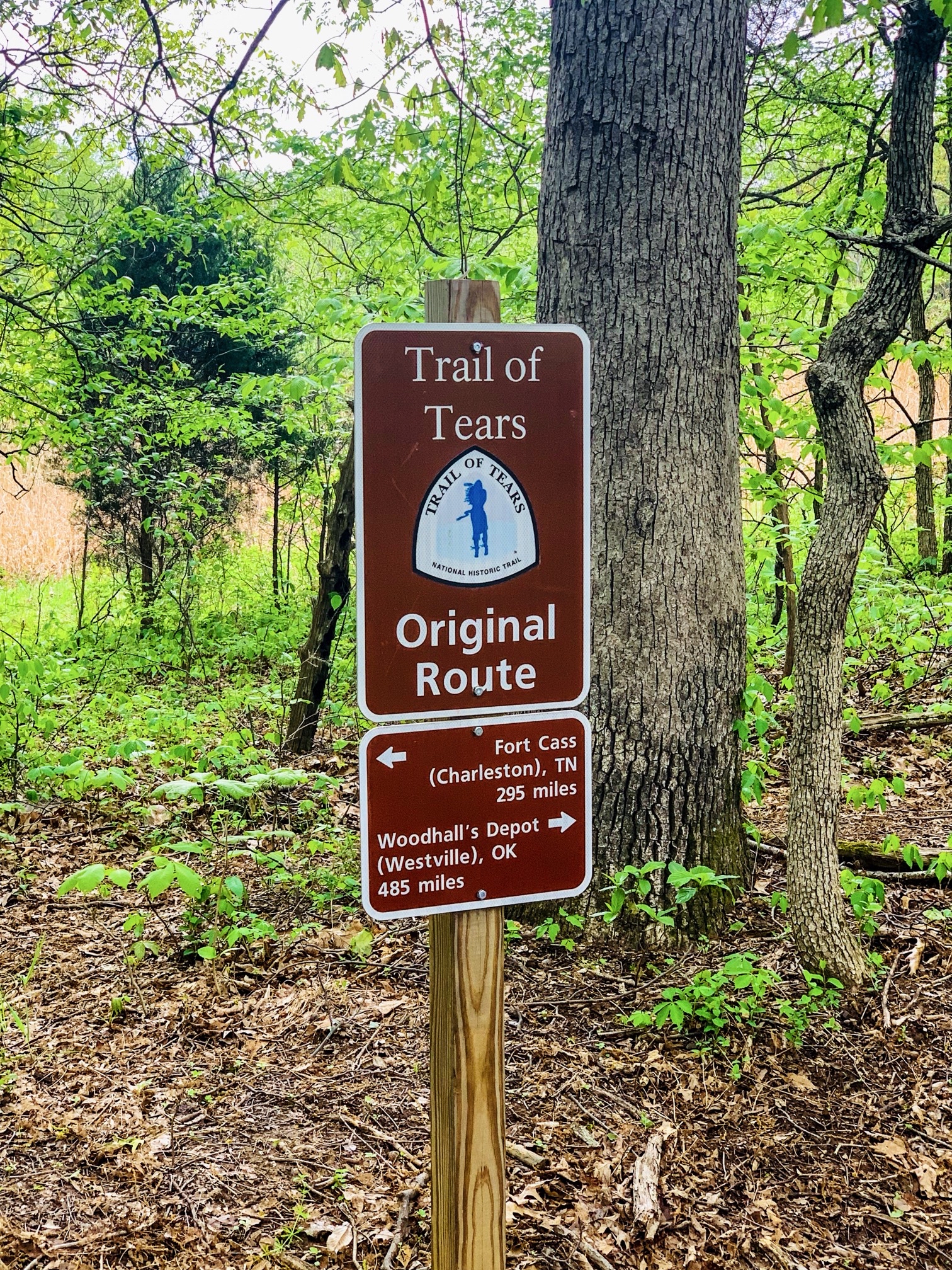 Mantle Rock Trail