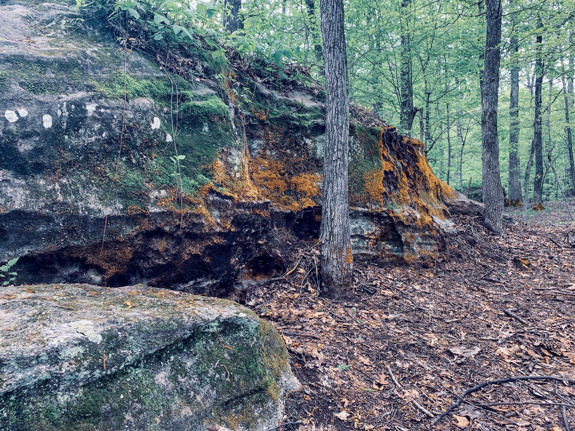 Mantle Rock Trail