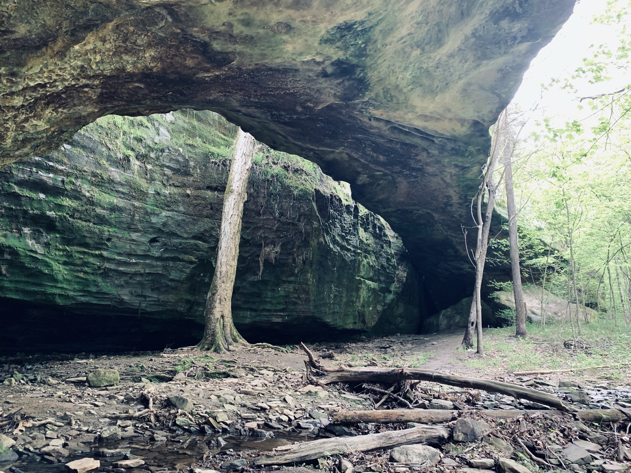 Mantle Rock Trail
