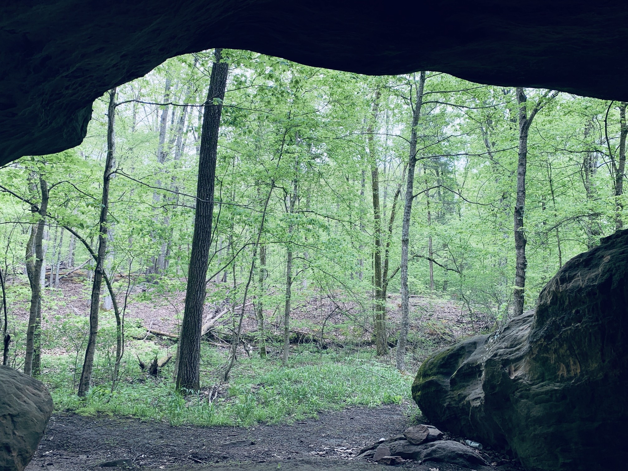 Mantle Rock Trail