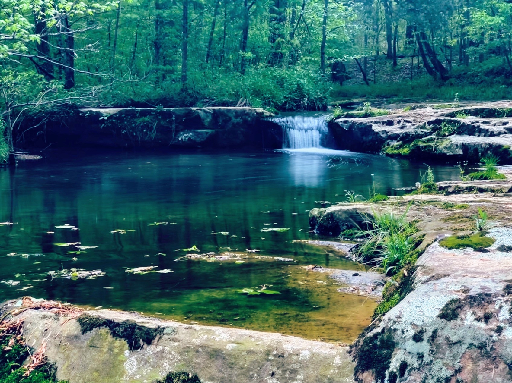 Mantle Rock Trail