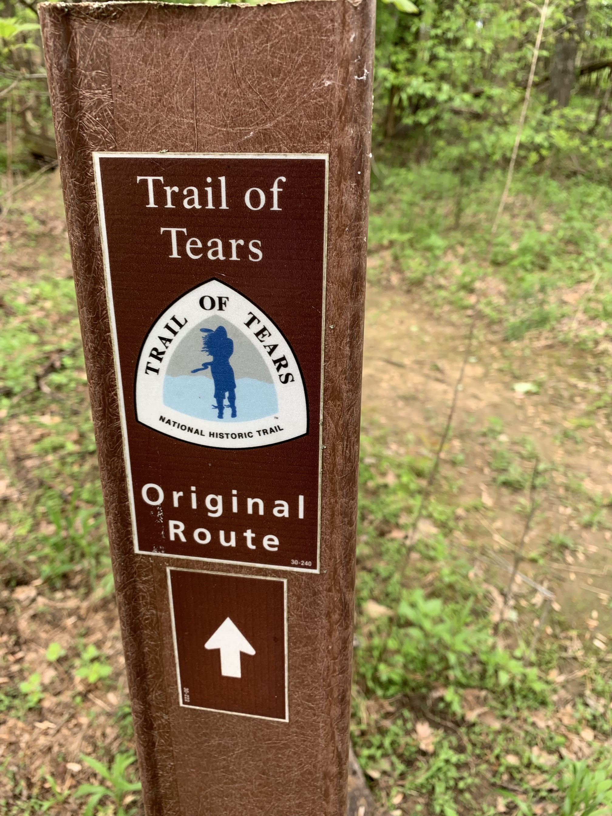 Mantle Rock Trail