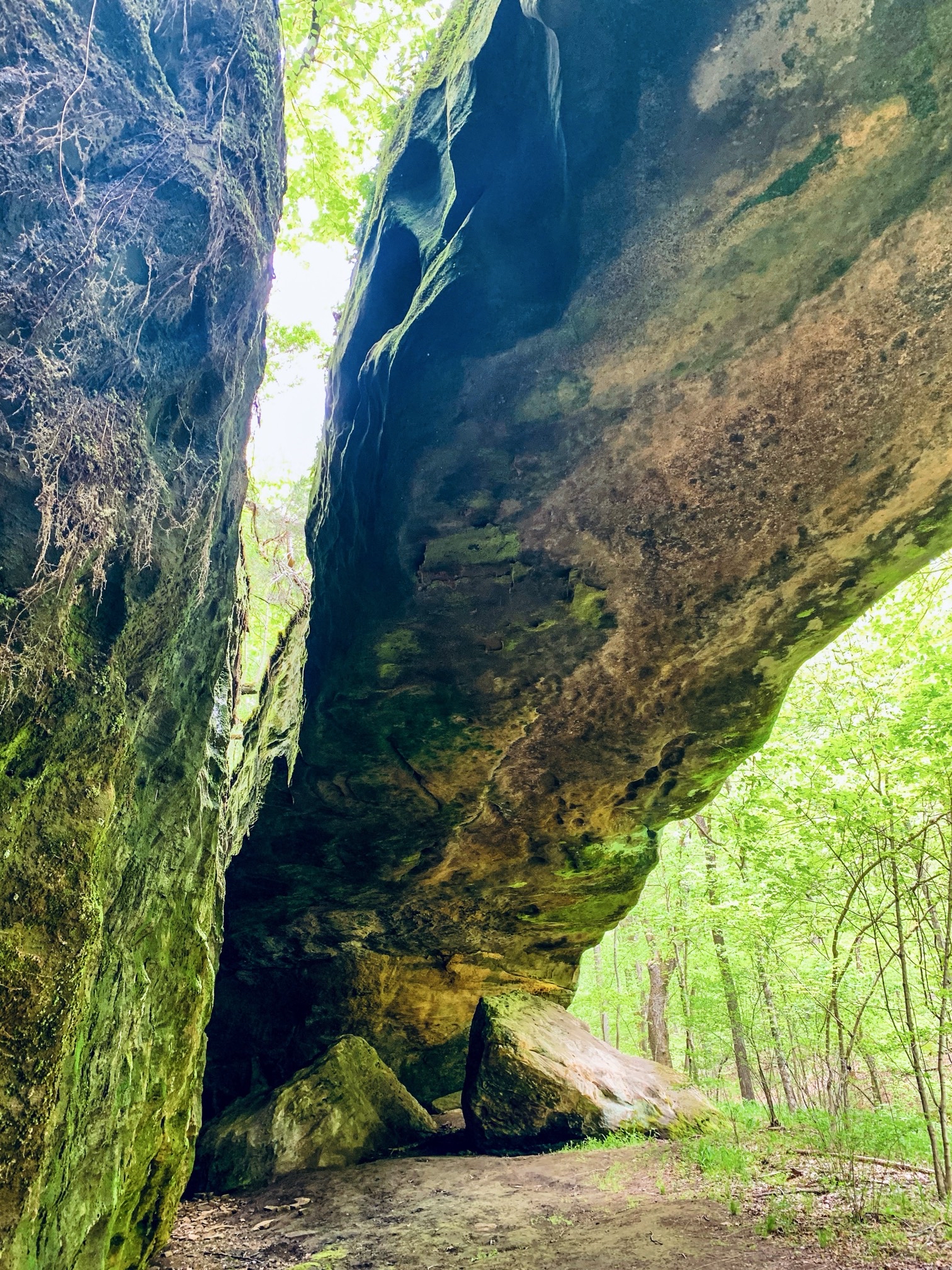 Mantle Rock Trail