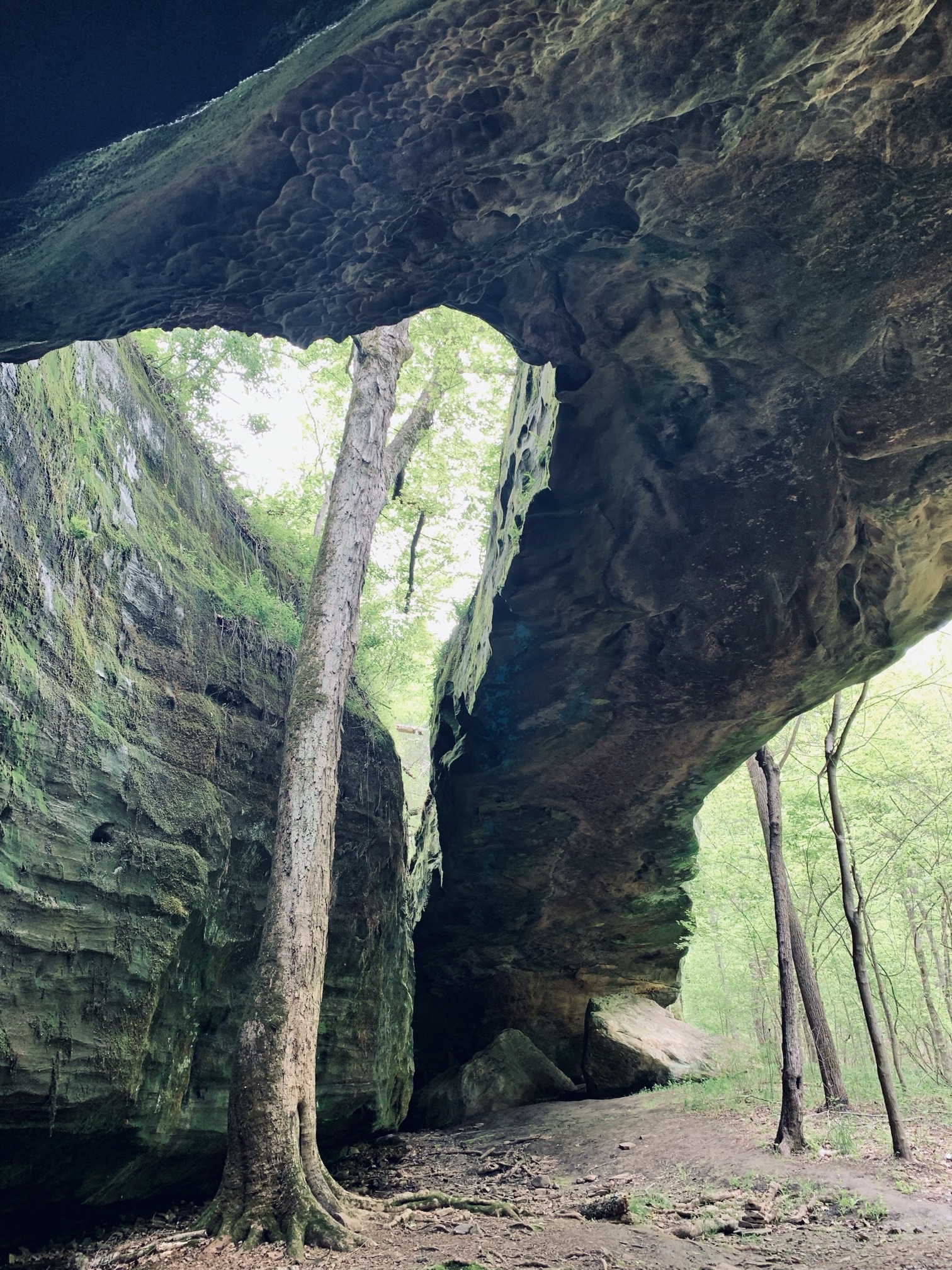 Mantle Rock Trail