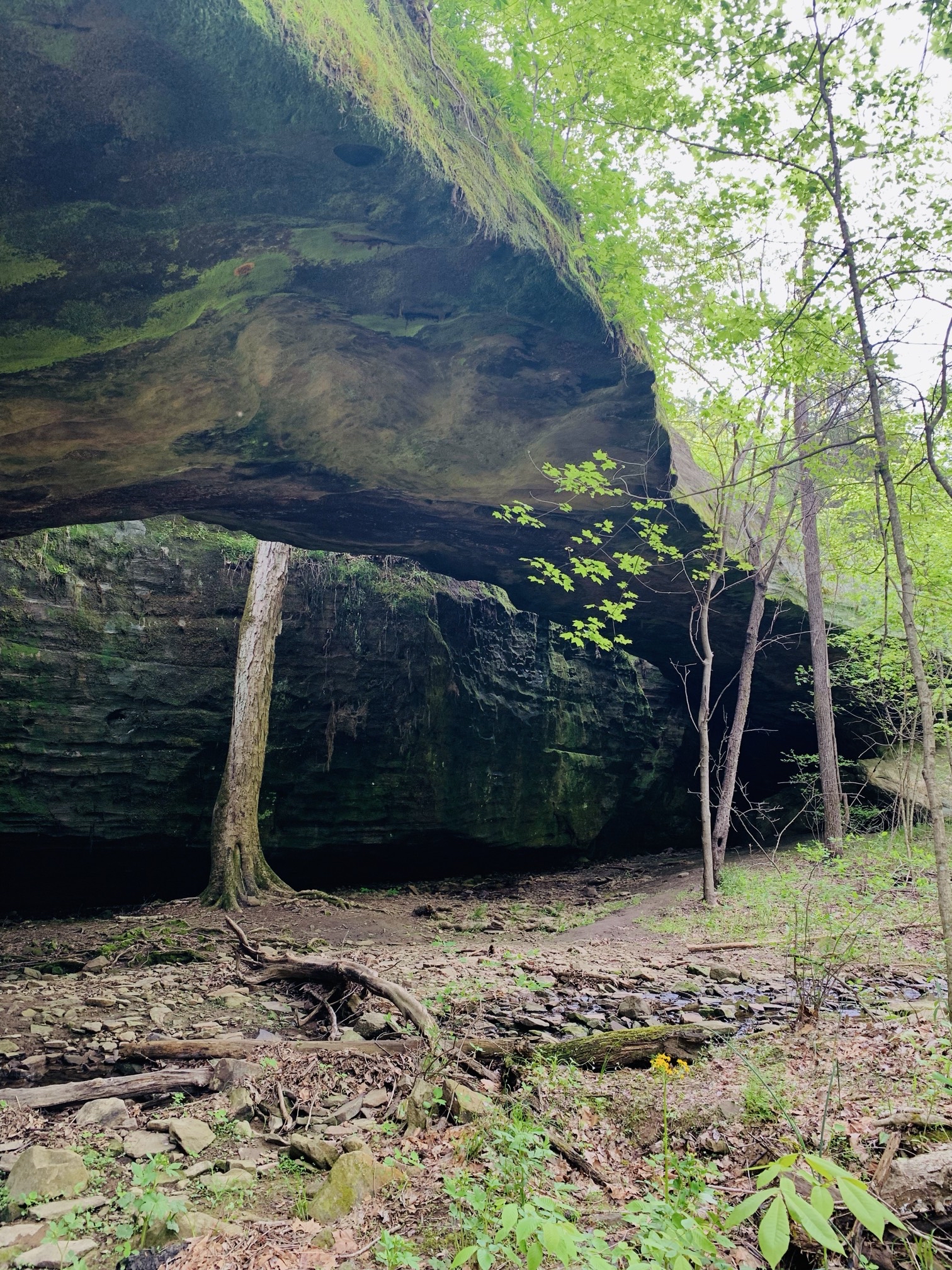 Mantle Rock Trail