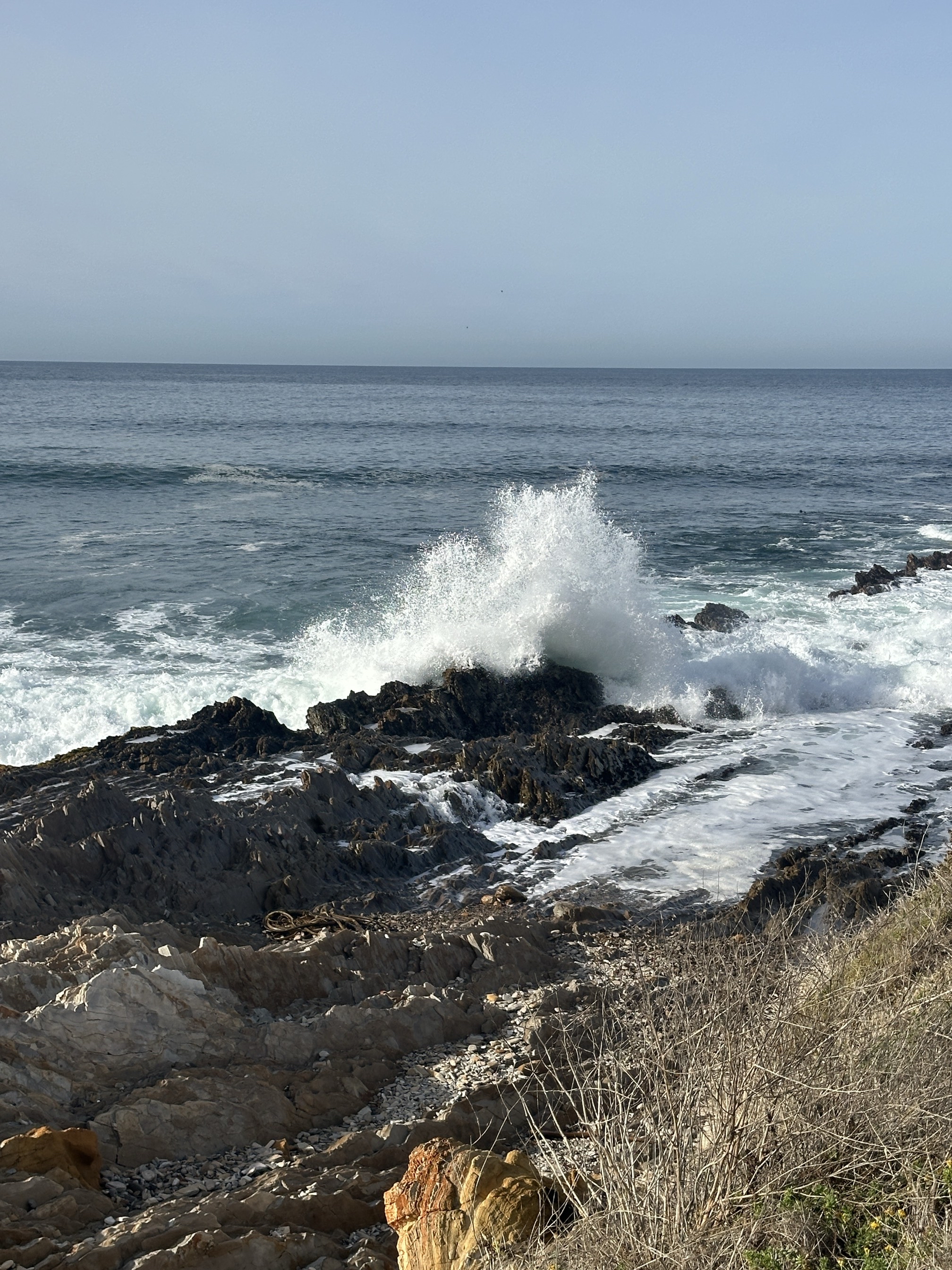 Montaña de Oro Bluff Trail