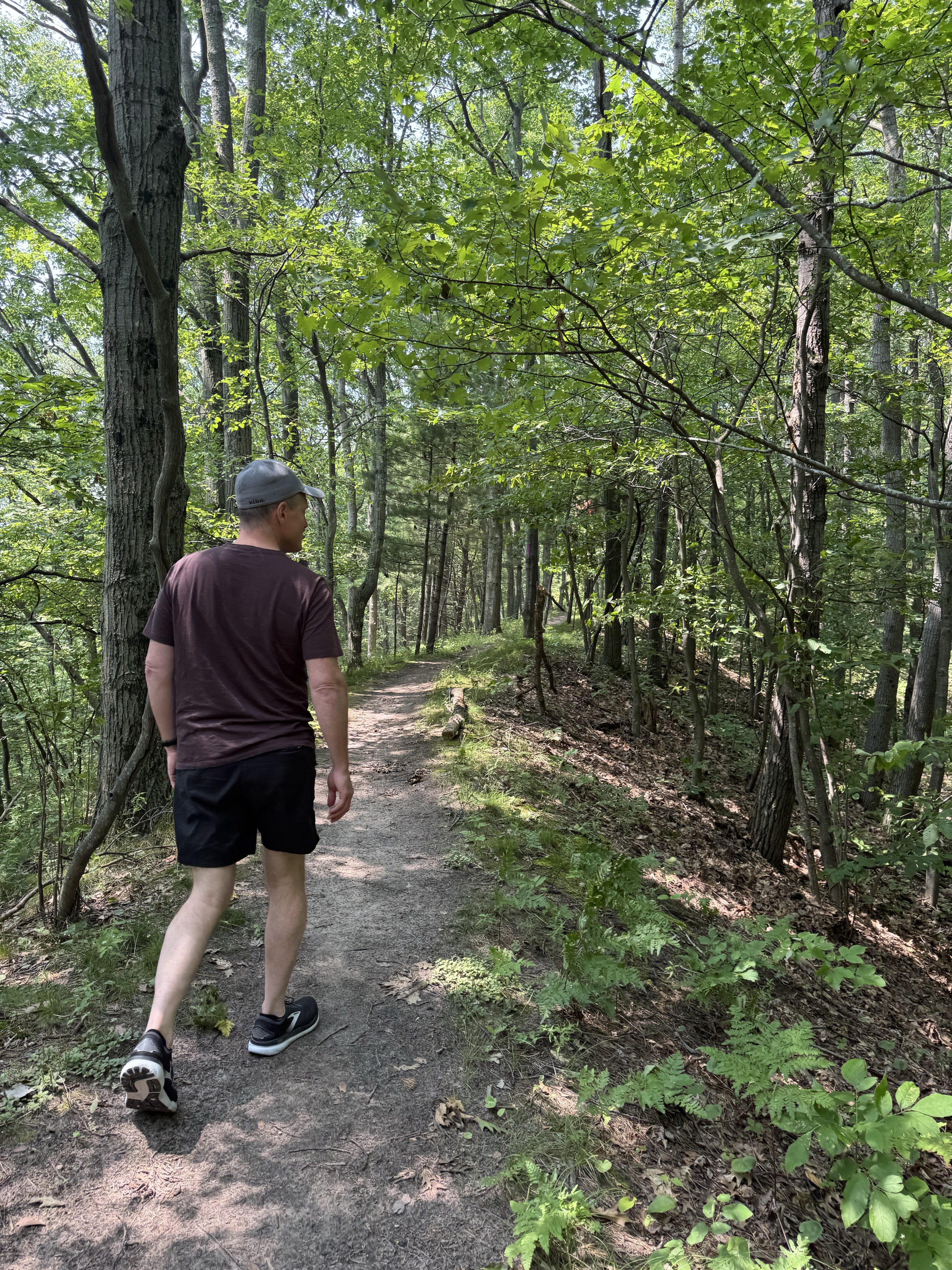 Mt Minnie Nature Preserve