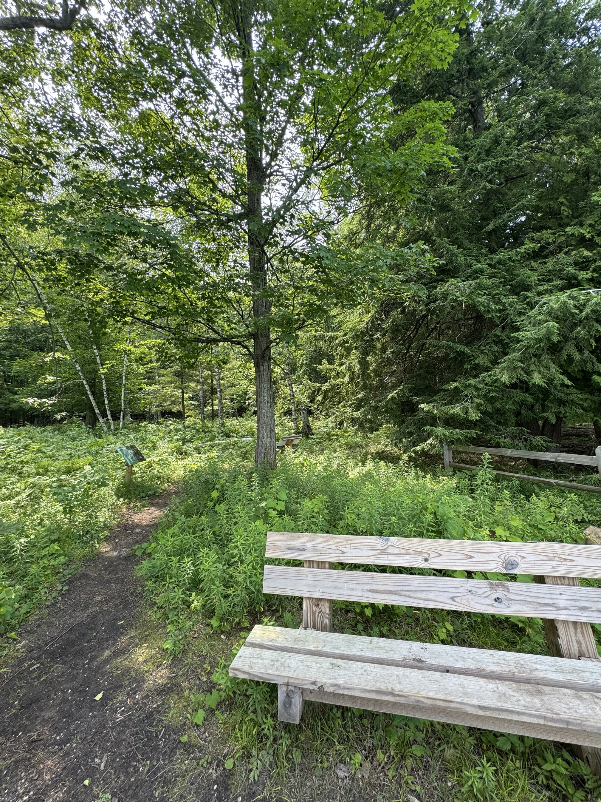 Mt Minnie Nature Preserve