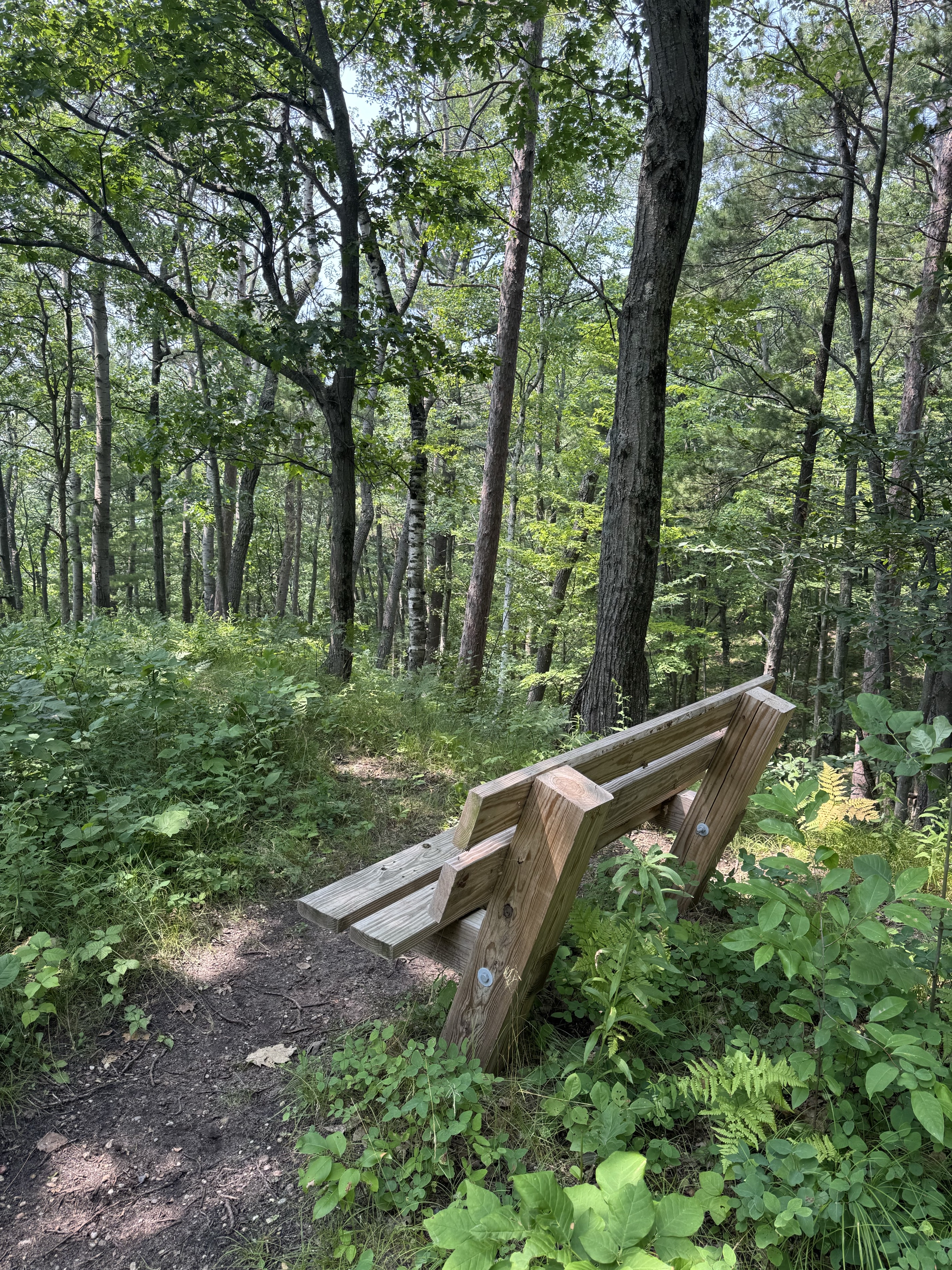 Mt Minnie Nature Preserve