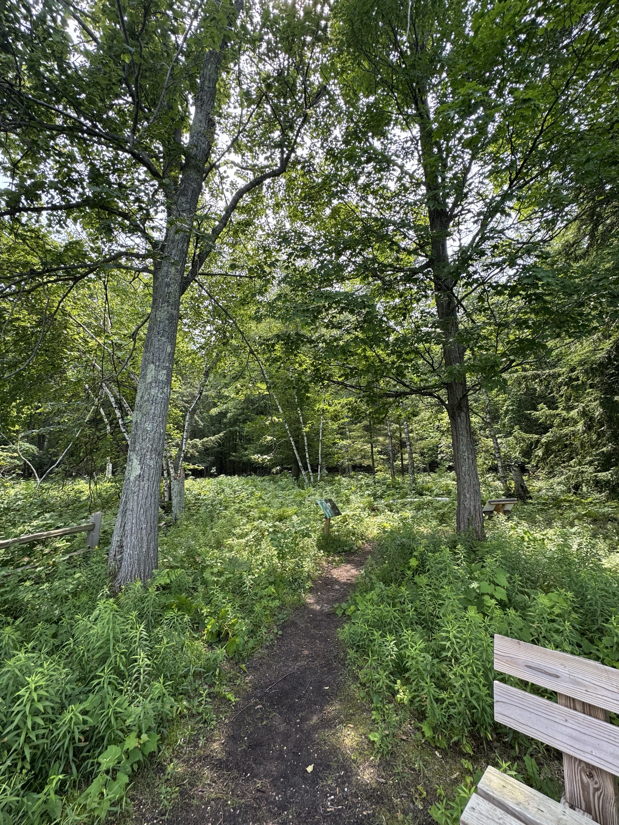 Mt Minnie Nature Preserve