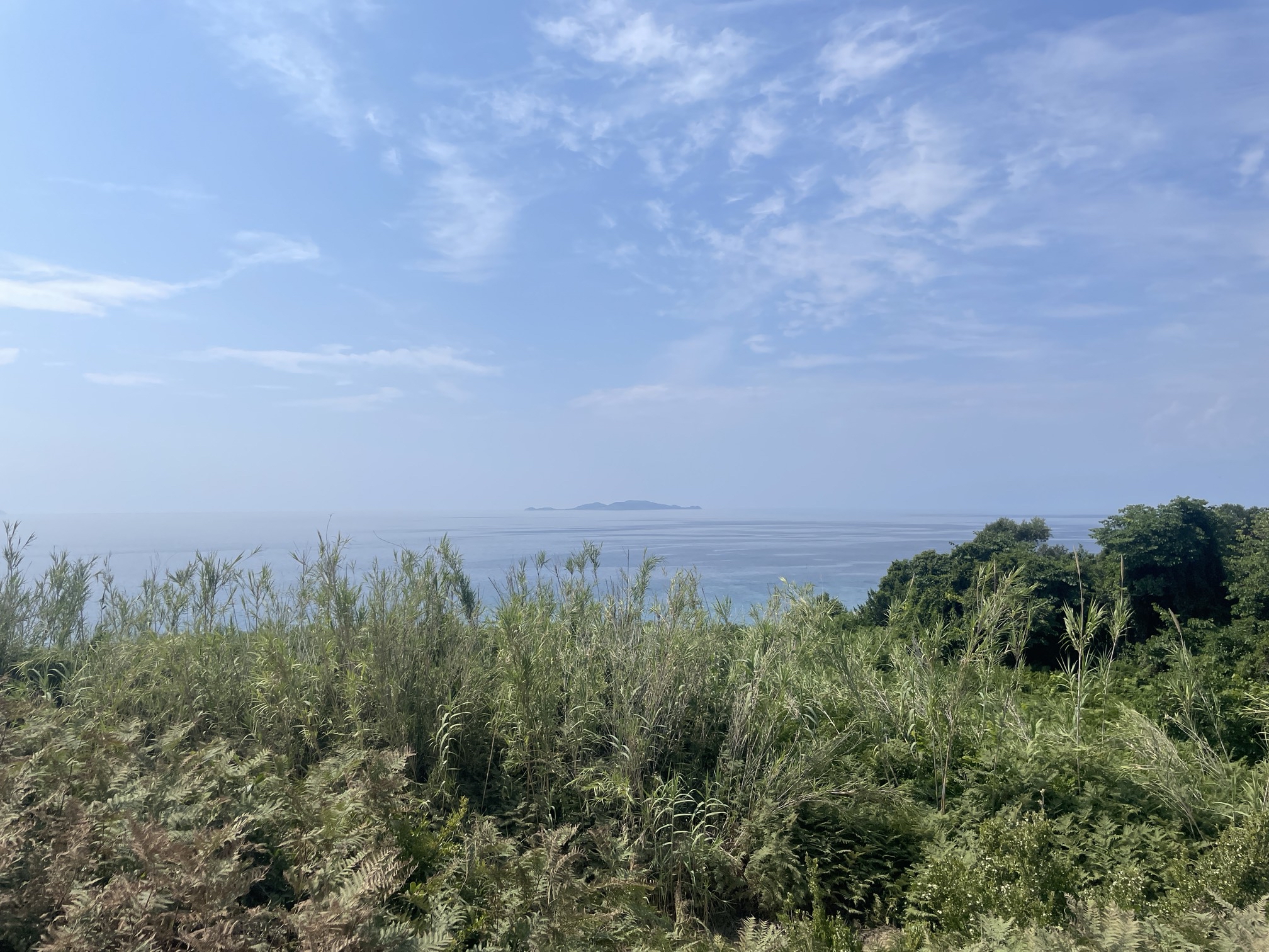 Cape Drastis 