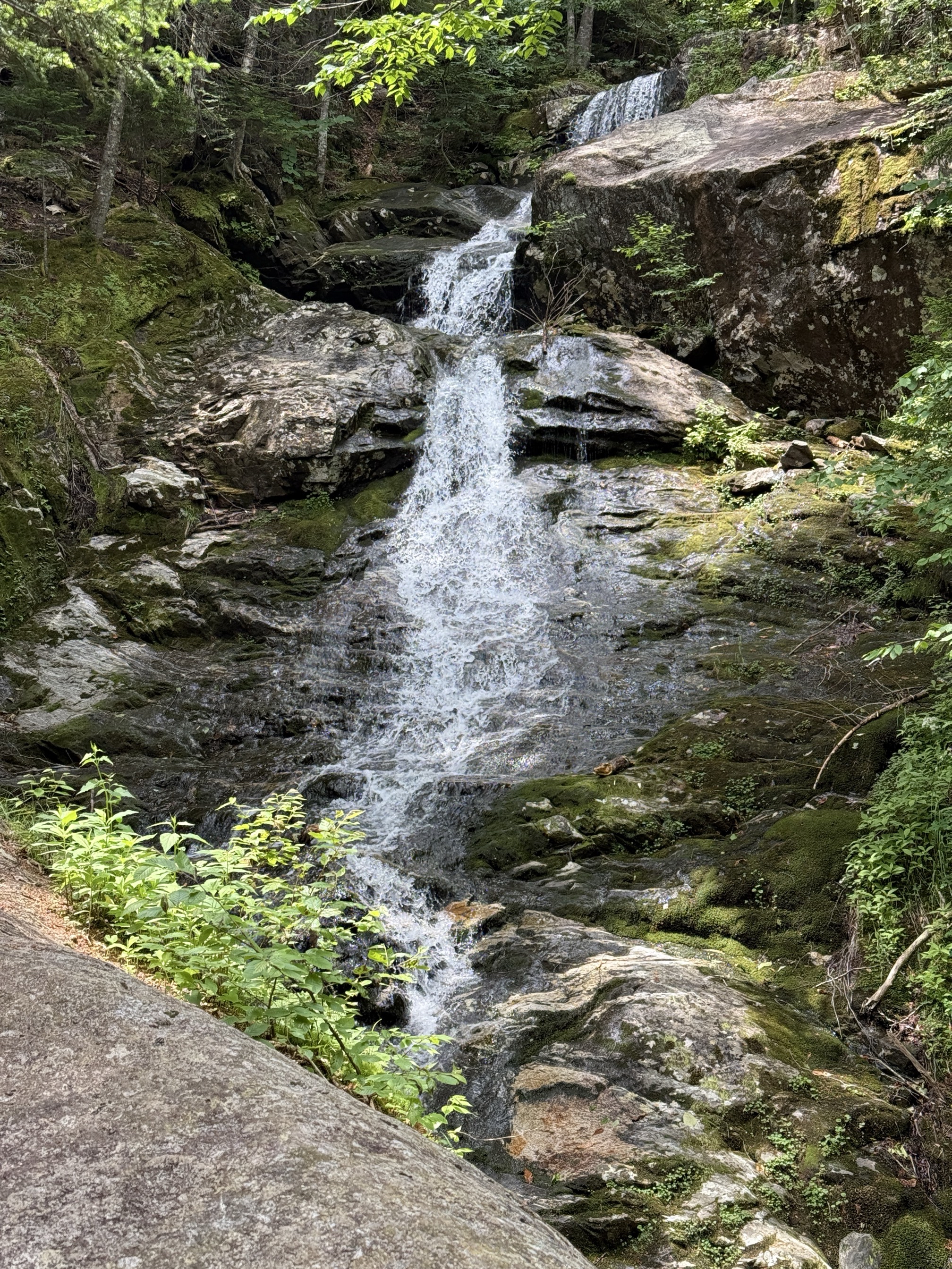 Mount Moosilauke via Beaver Brook Trail