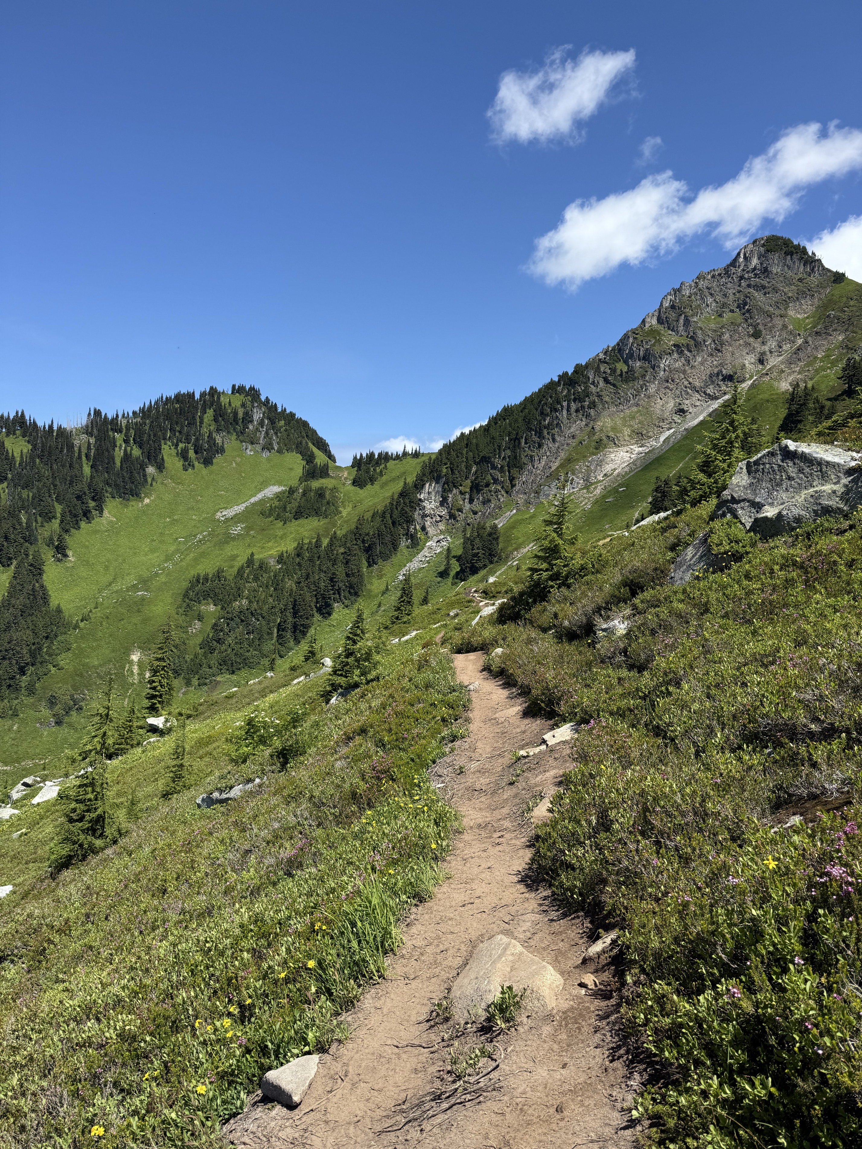Hidden Lake Lookout