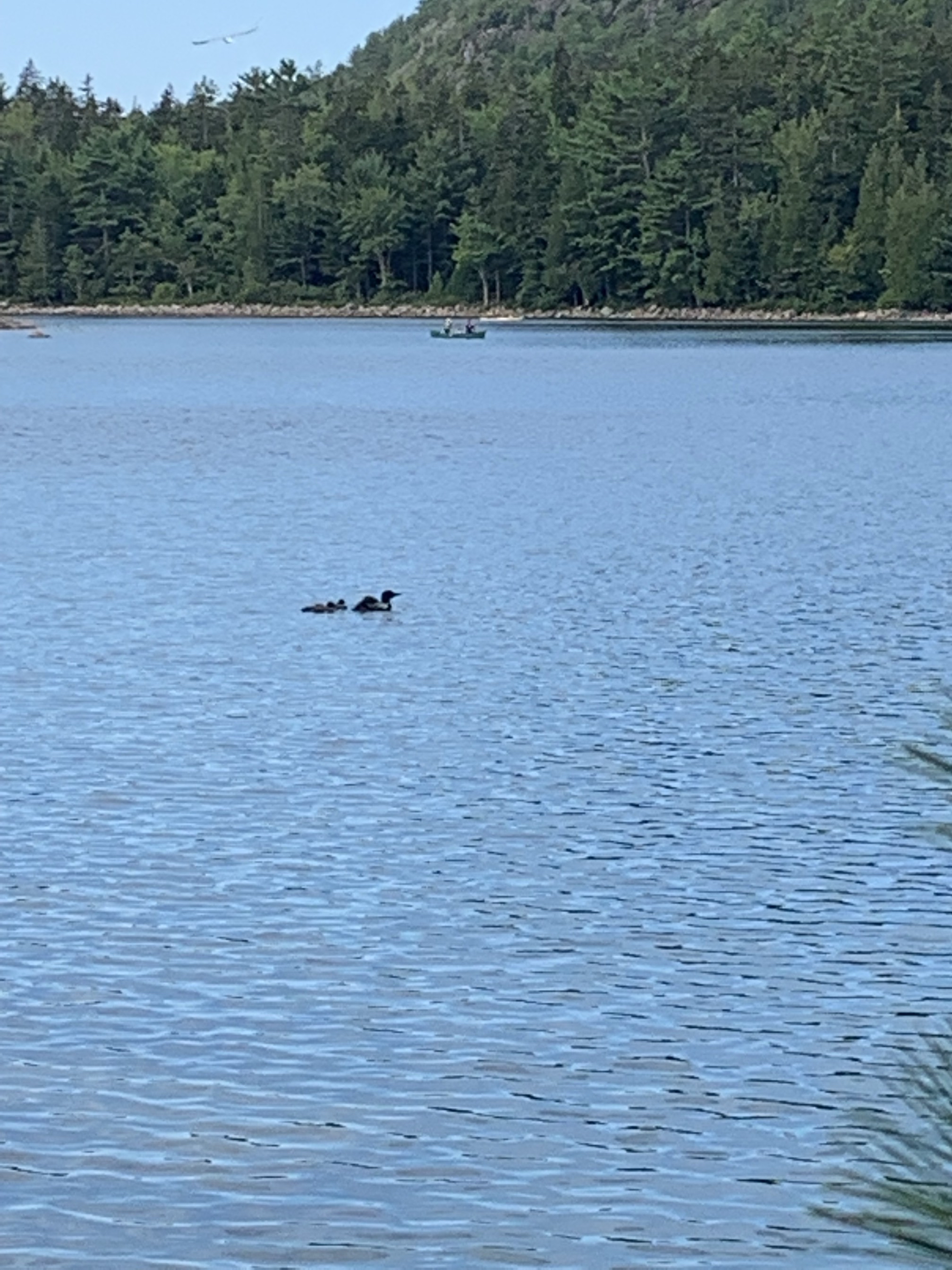 Jordan Pond