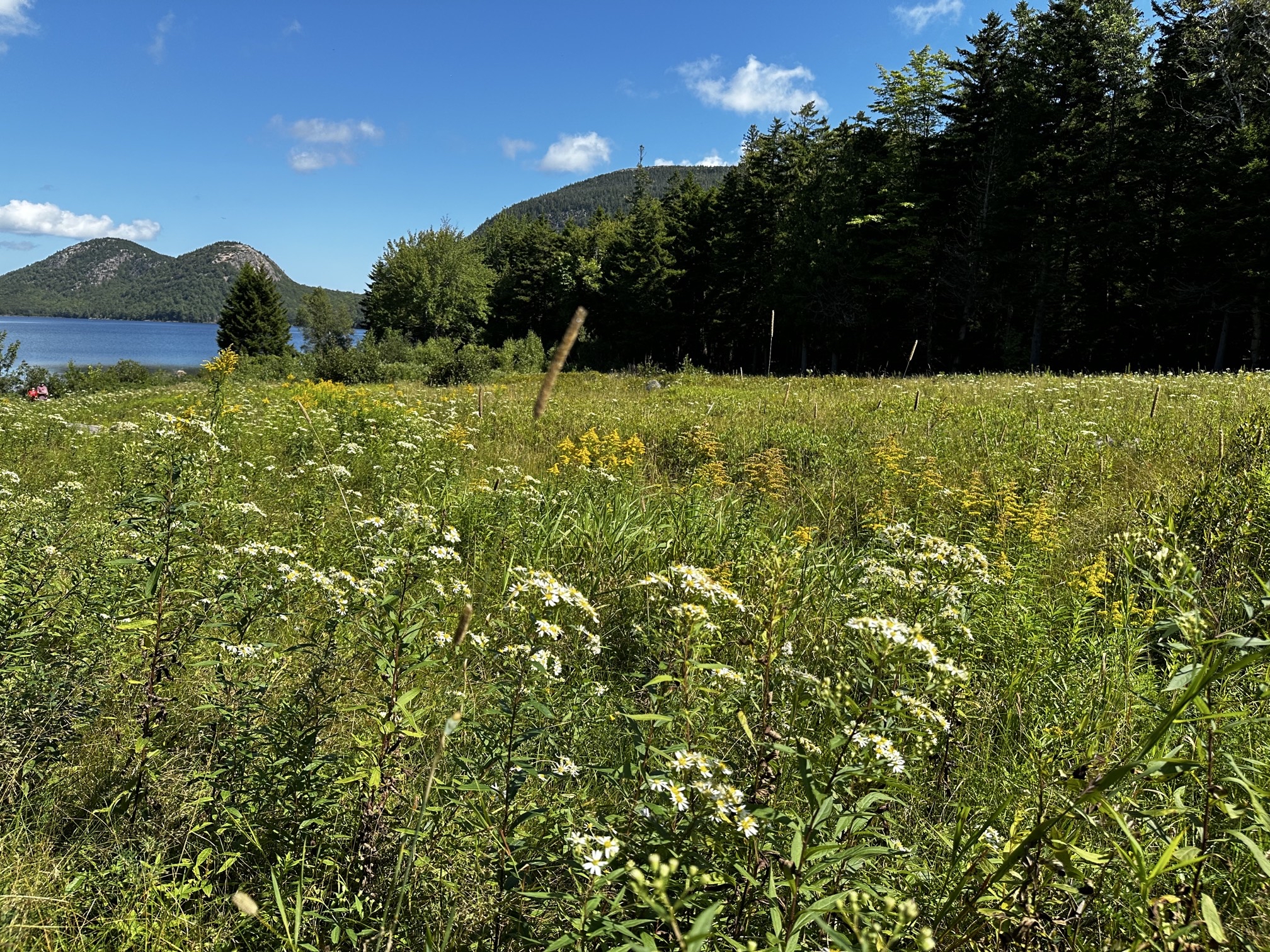 Jordan Pond