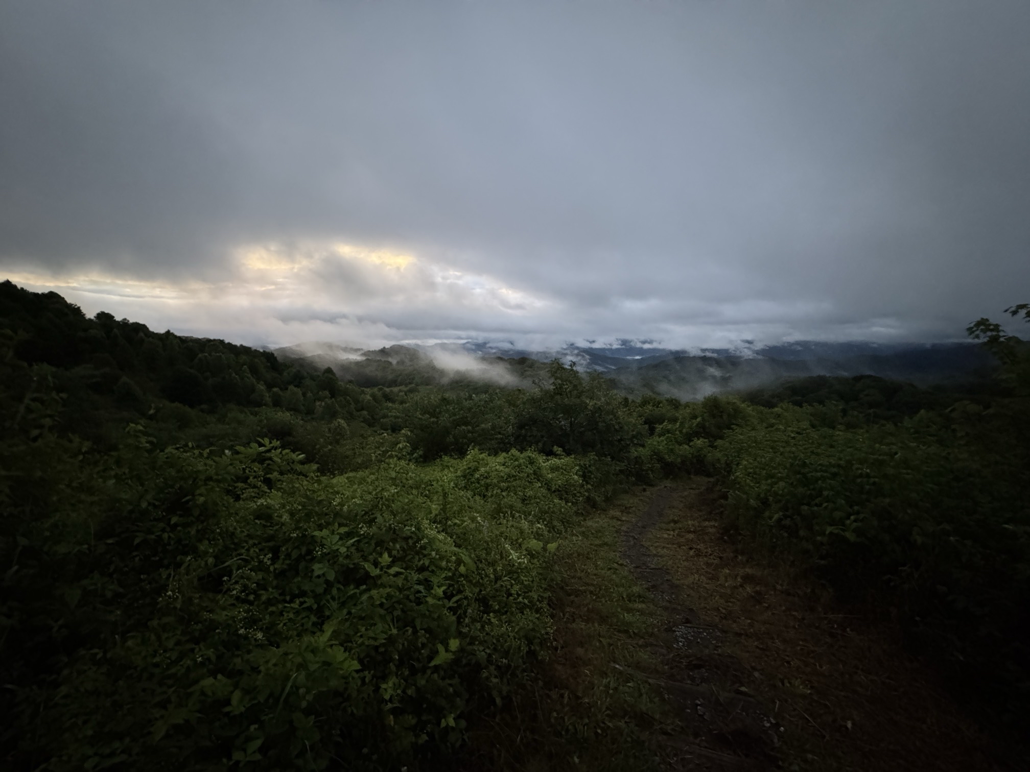 Max Patch Mountain