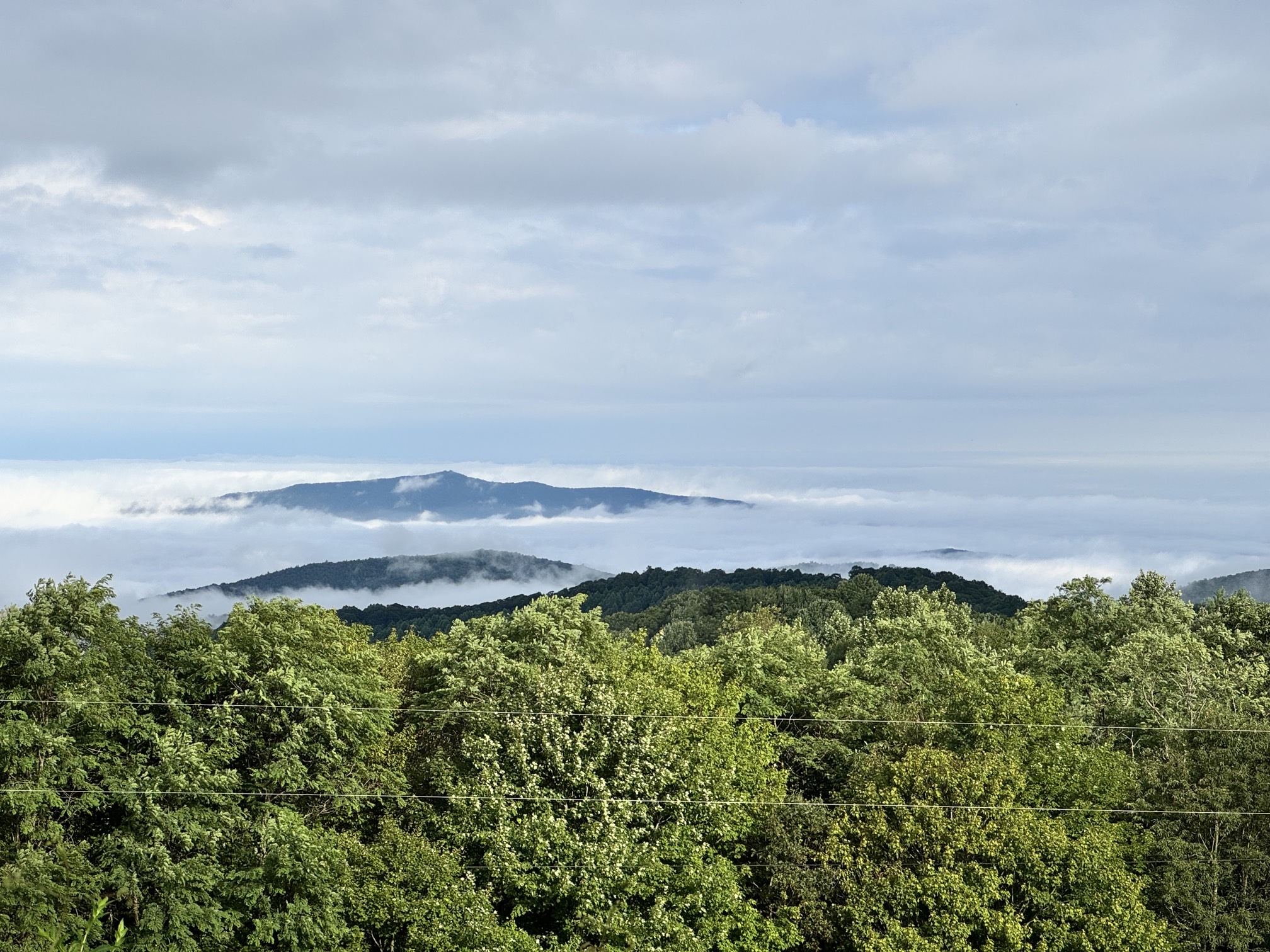 Max Patch Mountain