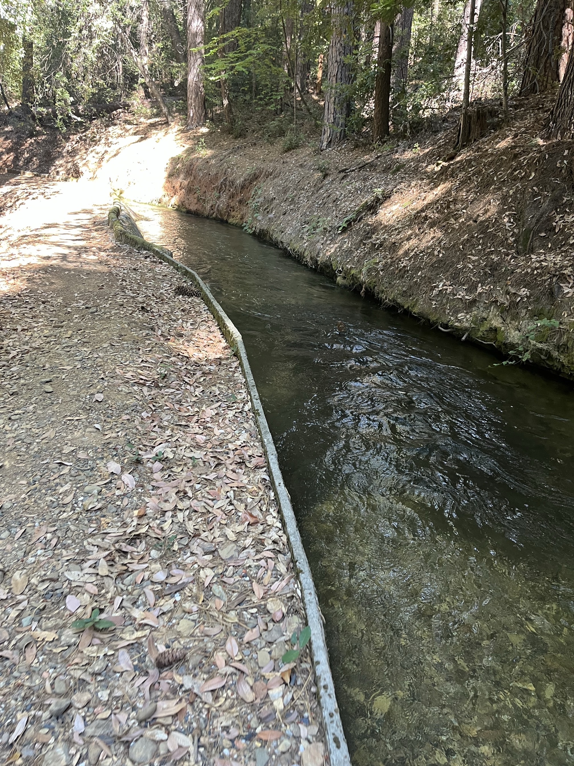 Flume Dam Trail