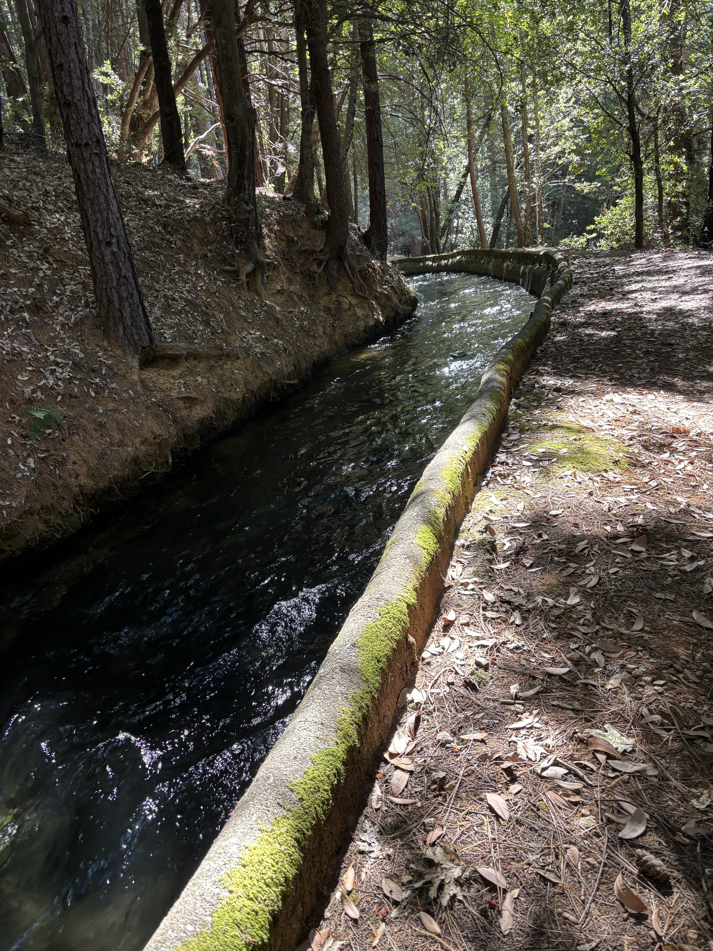 Flume Dam Trail