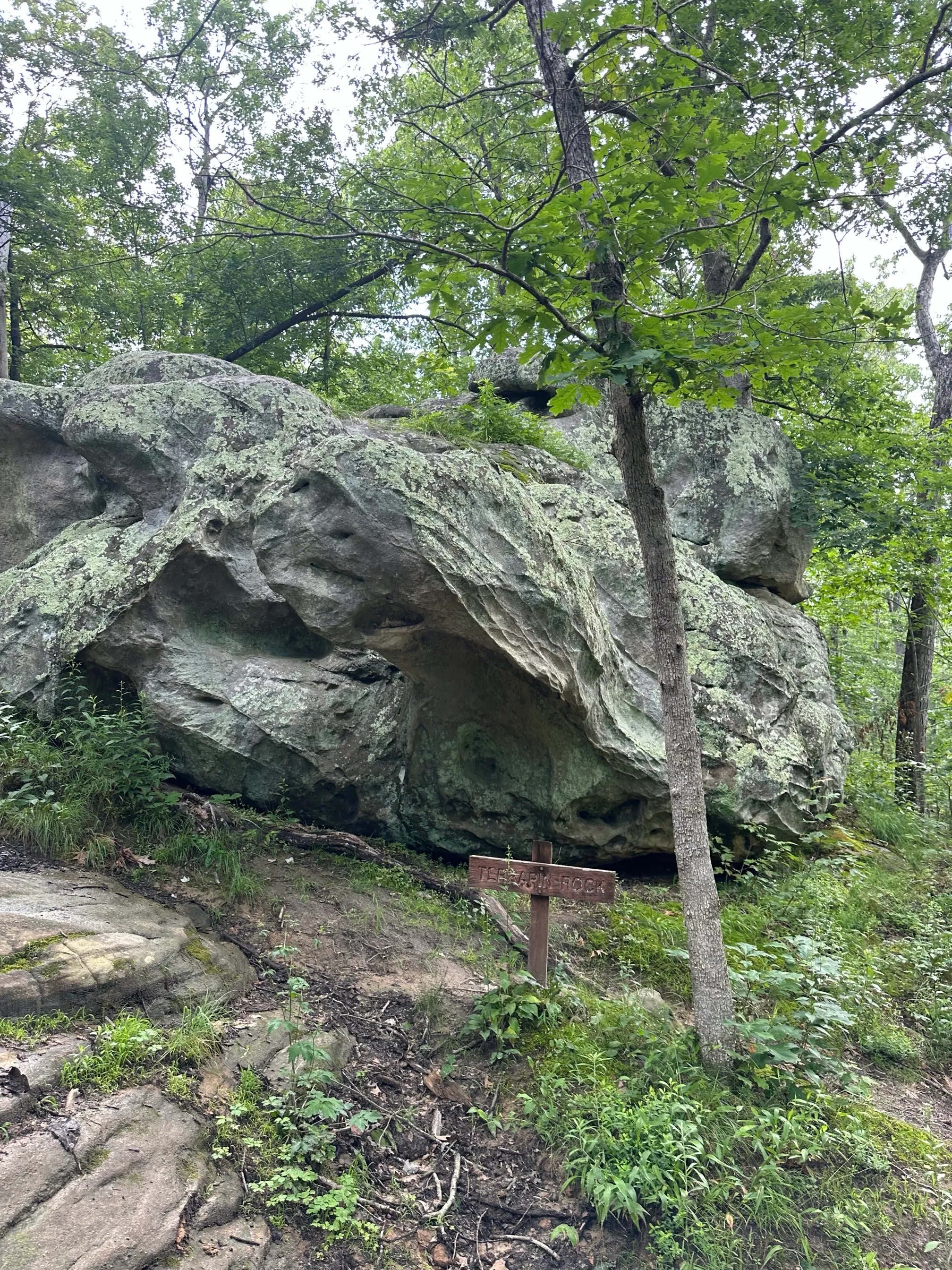 Pickle Springs Natural Area
