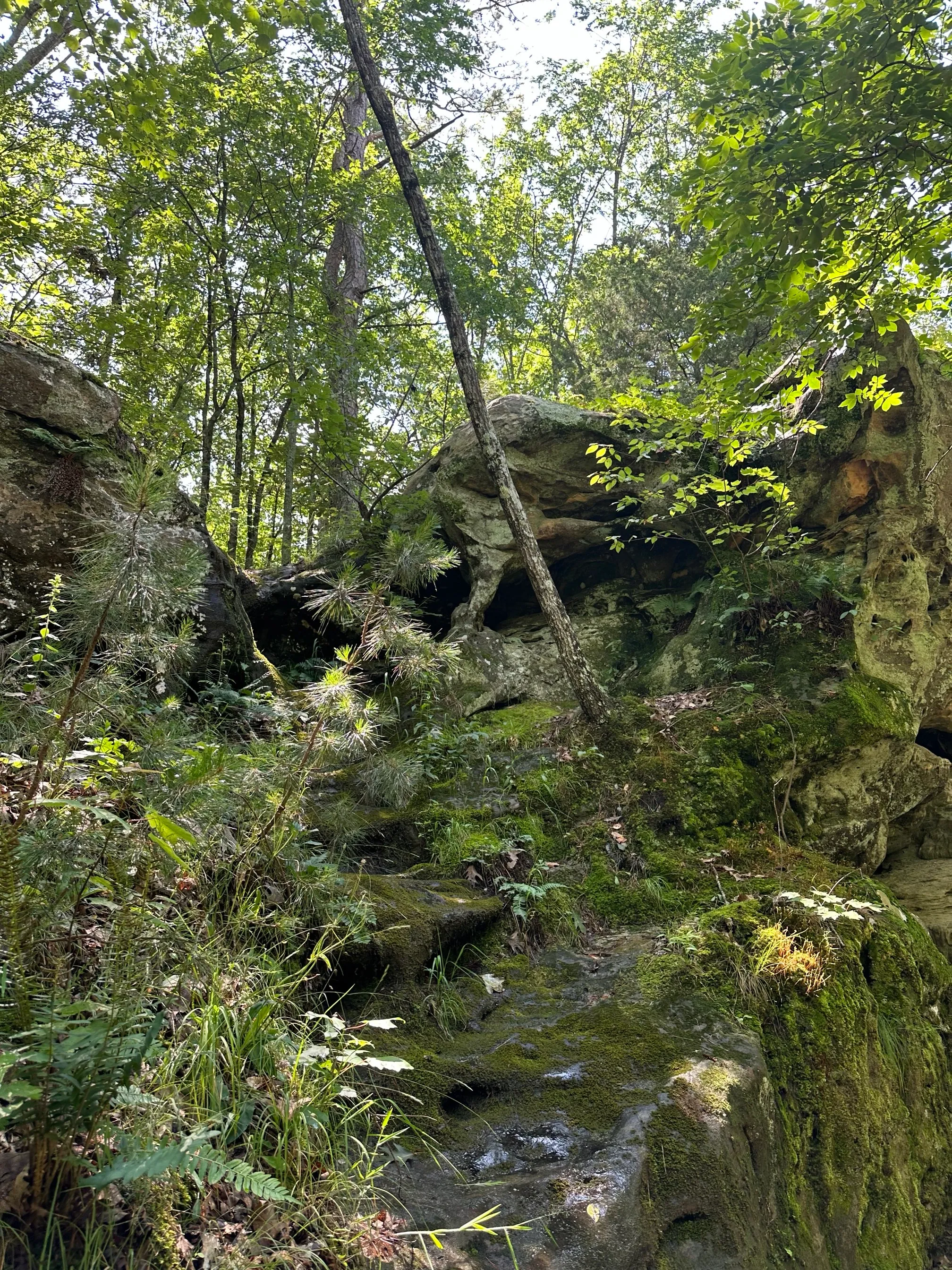 Pickle Springs Natural Area