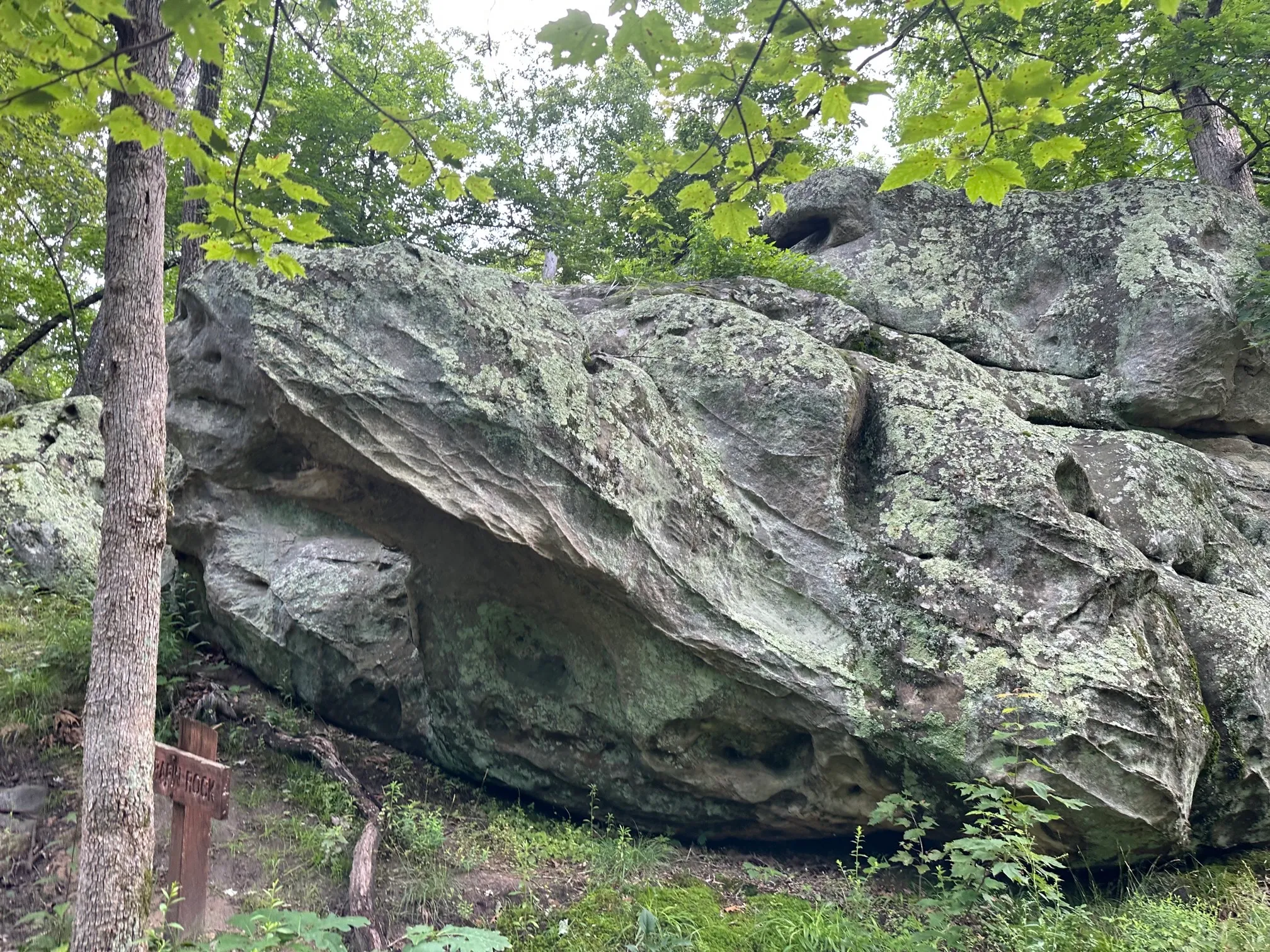 Pickle Springs Natural Area