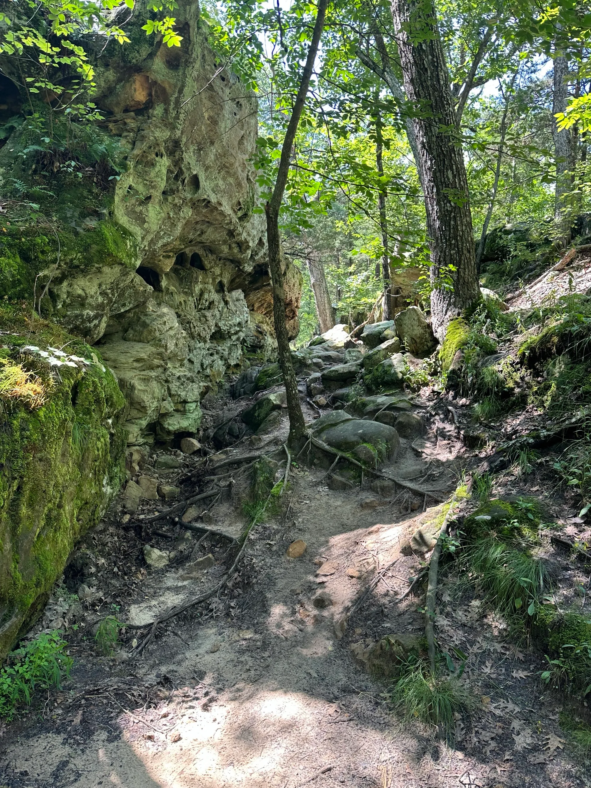 Pickle Springs Natural Area