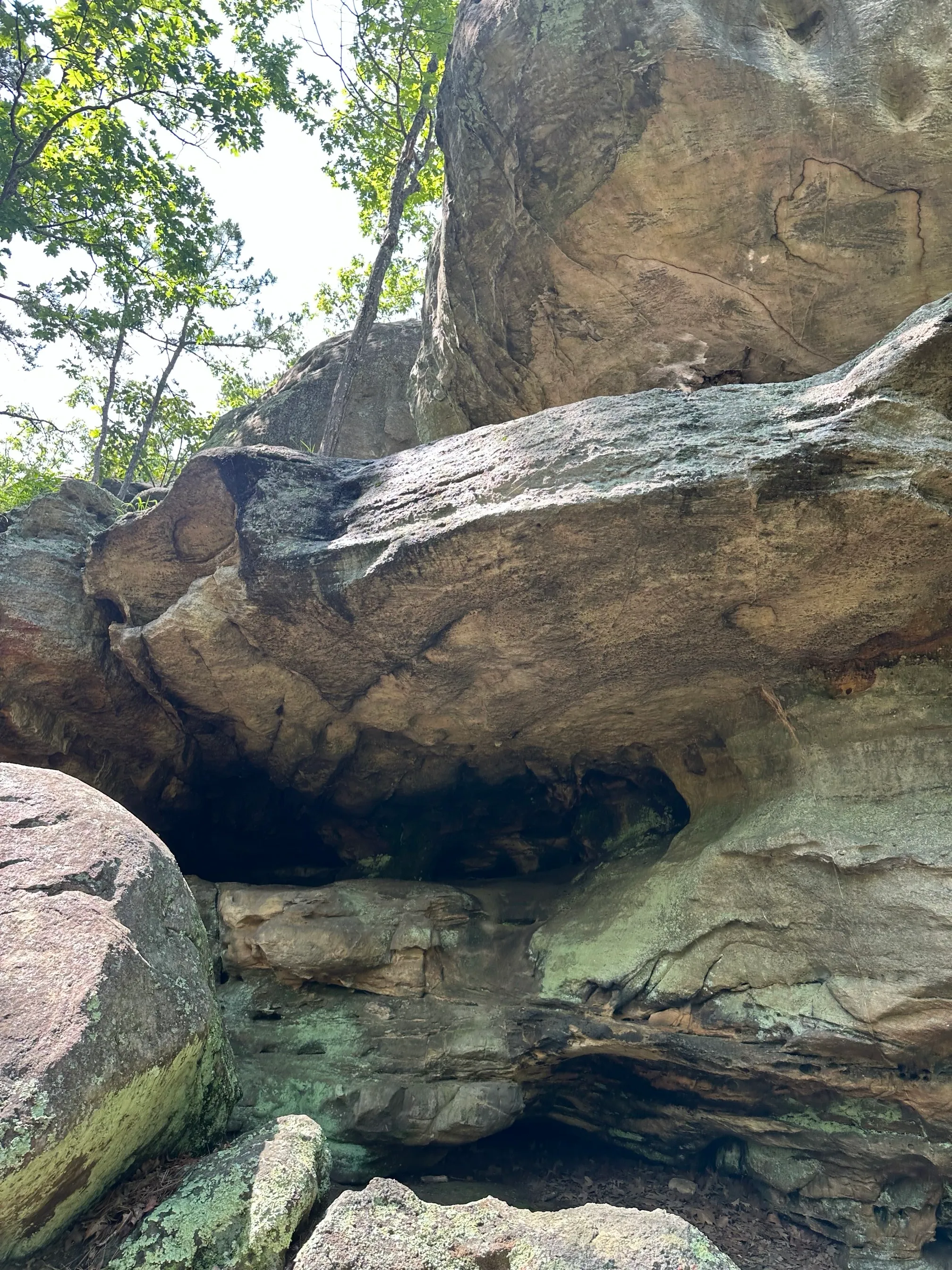 Pickle Springs Natural Area