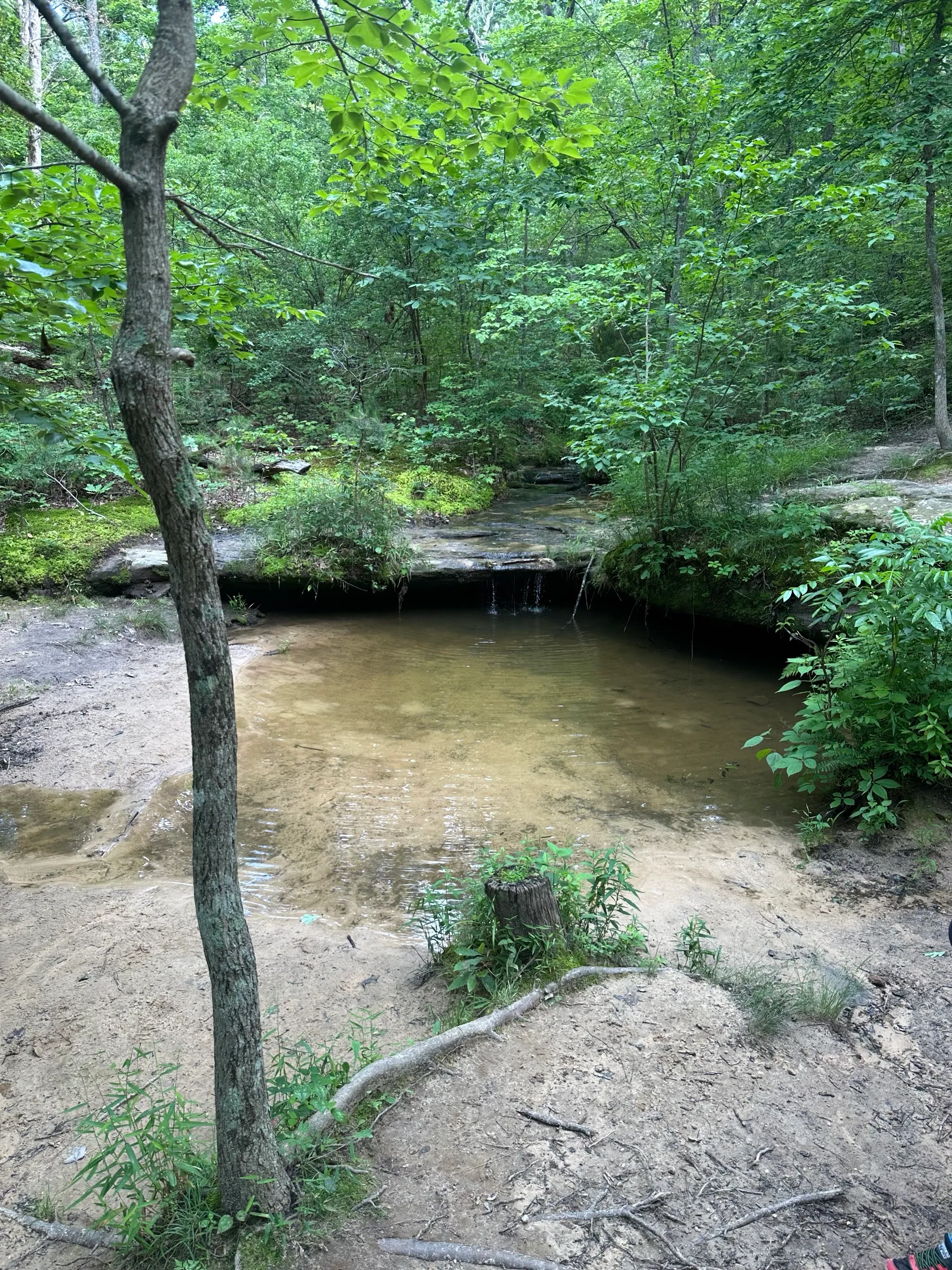 Pickle Springs Natural Area