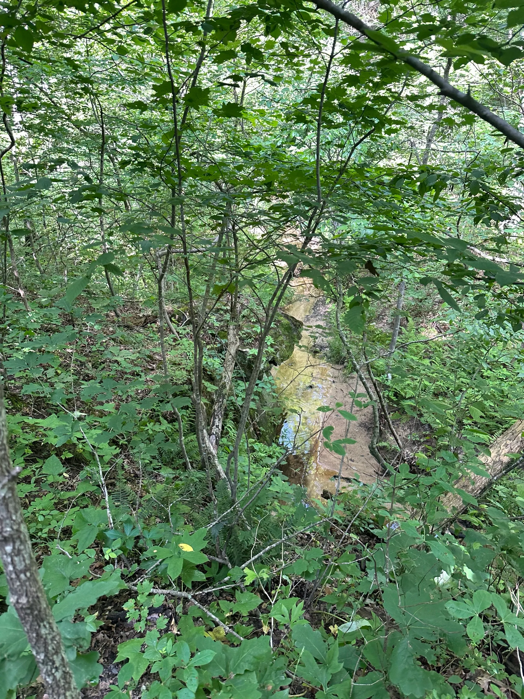 Pickle Springs Natural Area
