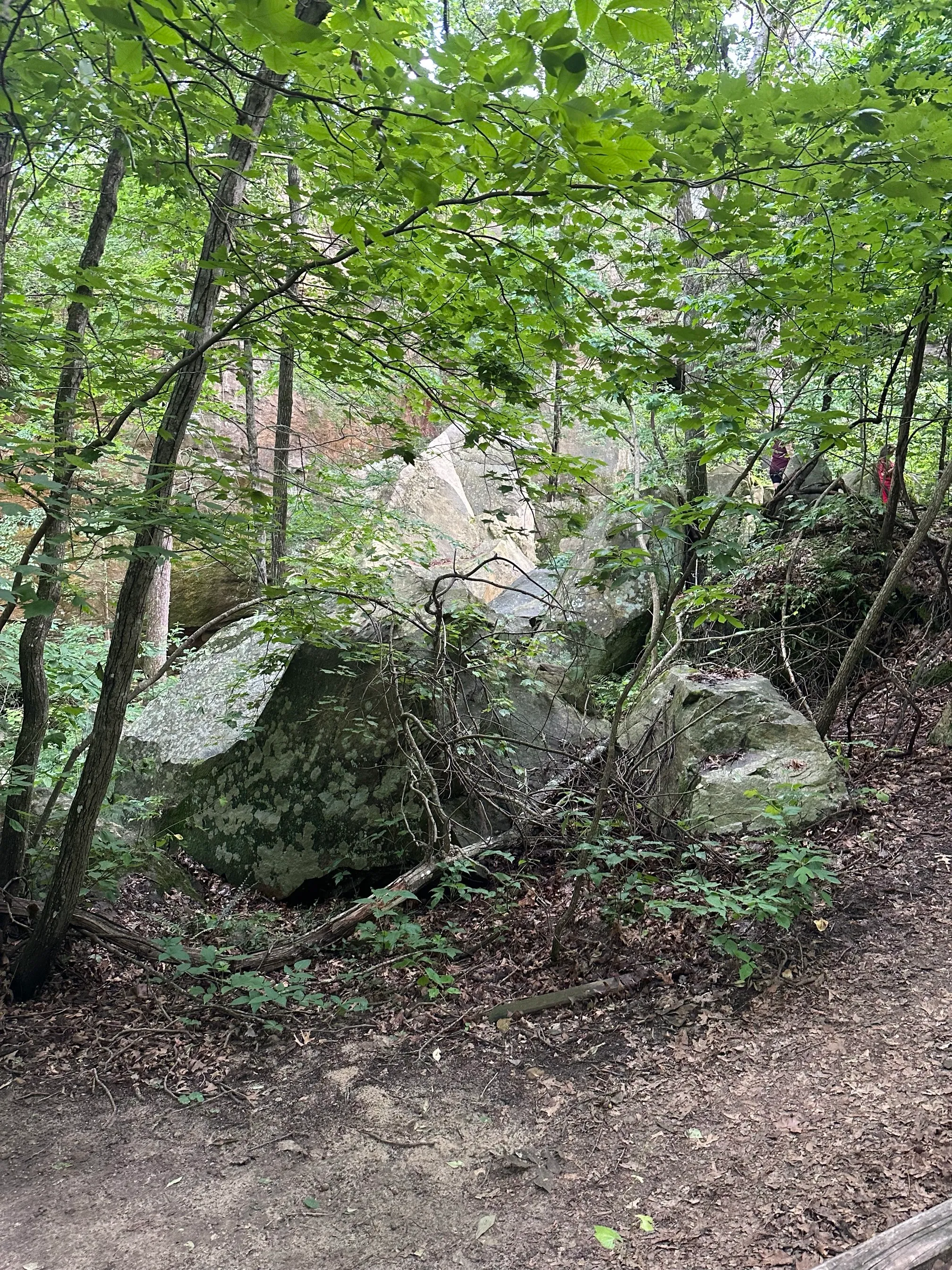 Pickle Springs Natural Area