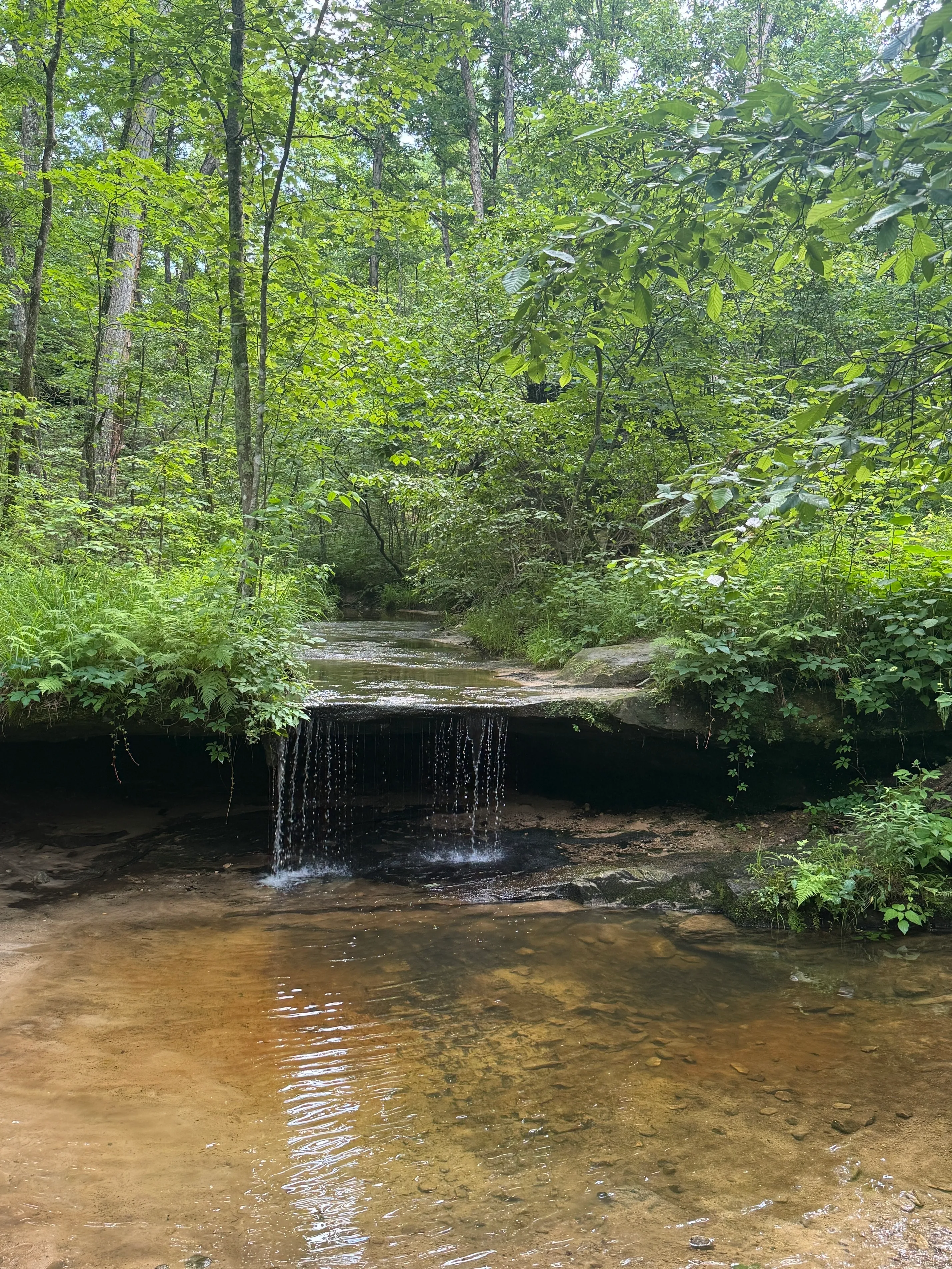 Pickle Springs Natural Area