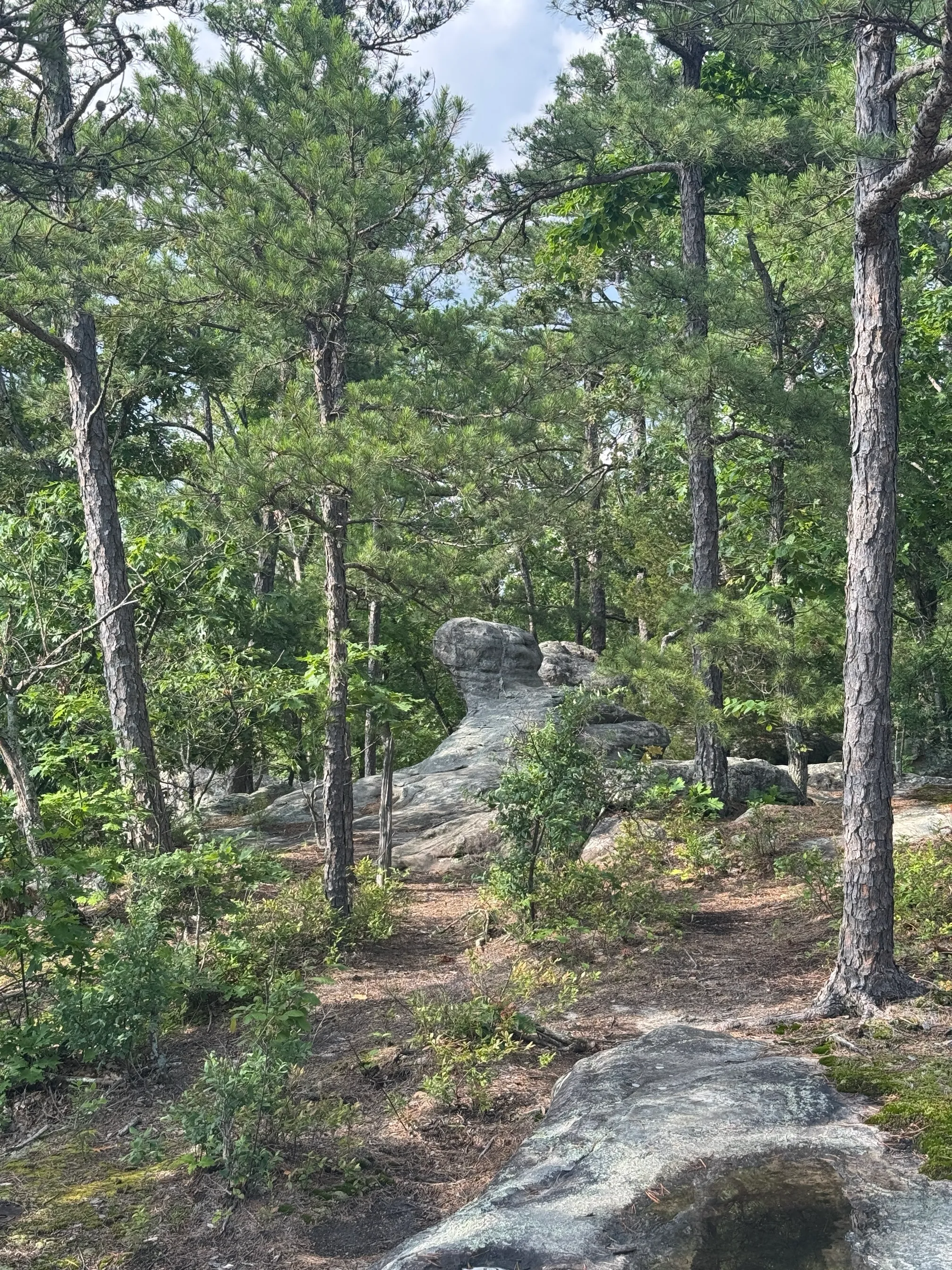 Pickle Springs Natural Area