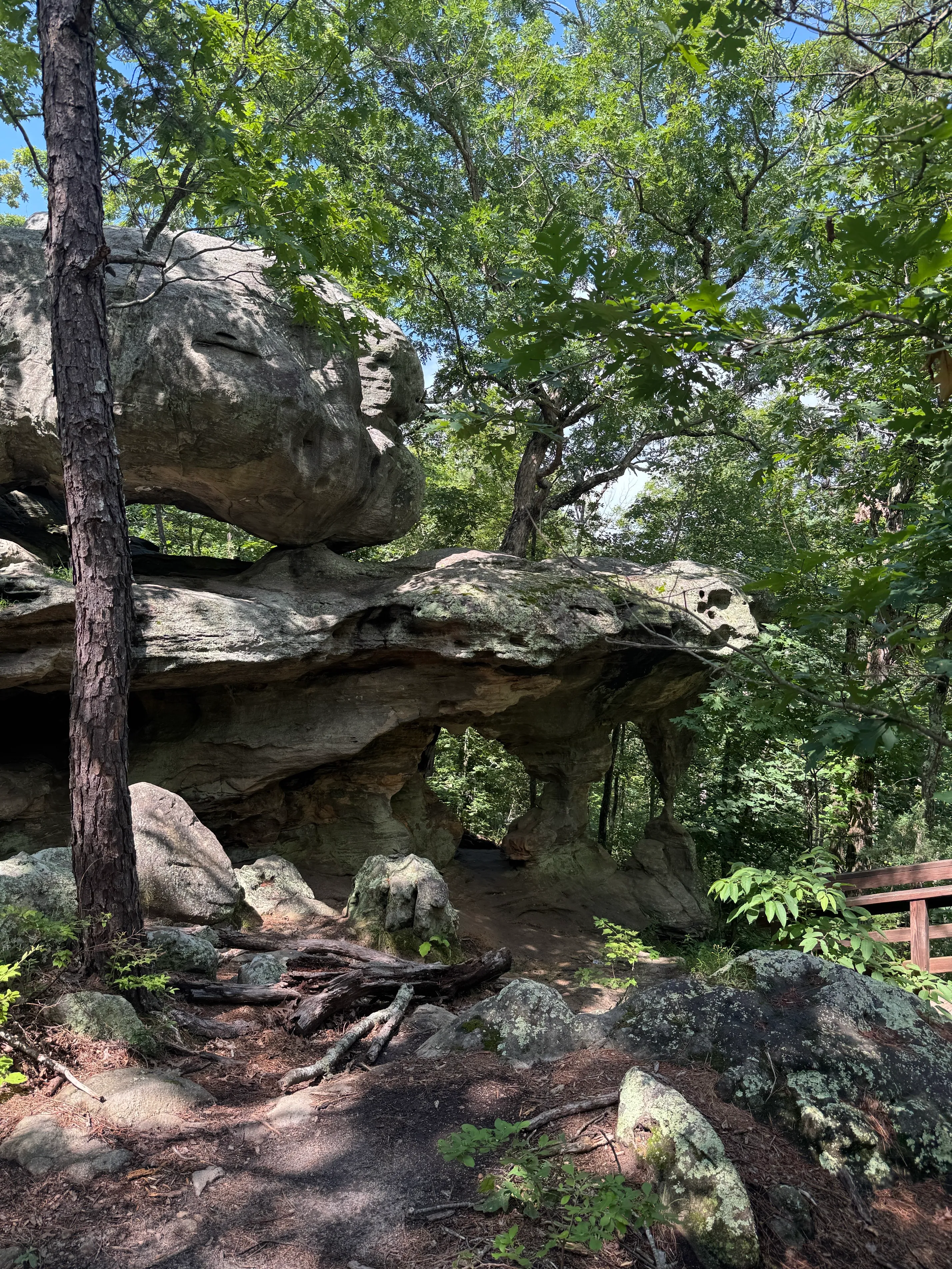 Pickle Springs Natural Area