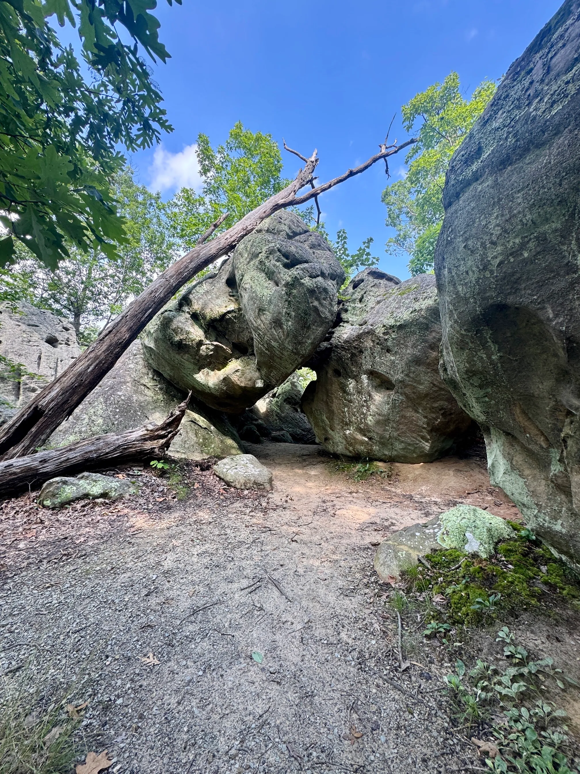 Pickle Springs Natural Area
