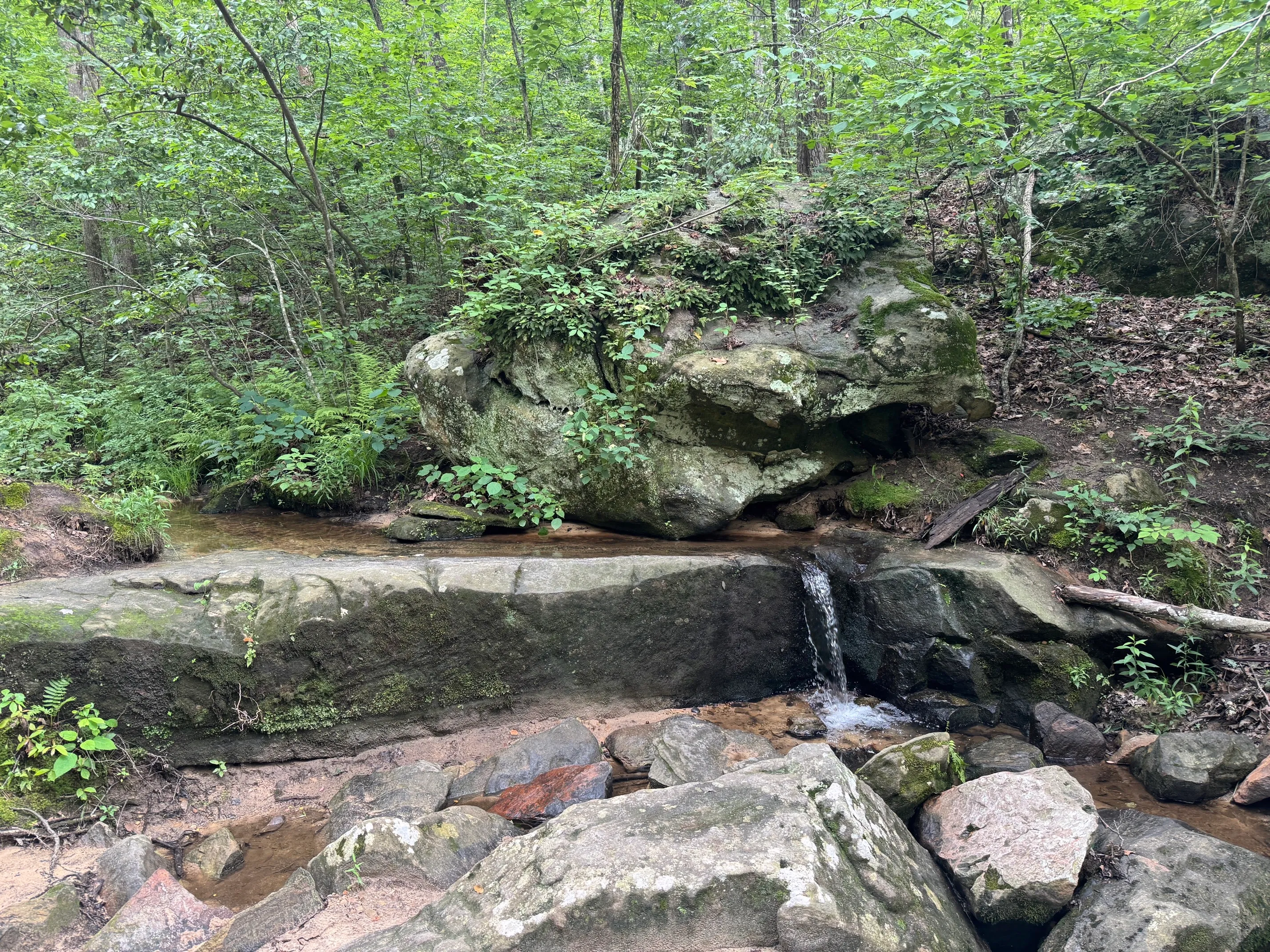 Pickle Springs Natural Area