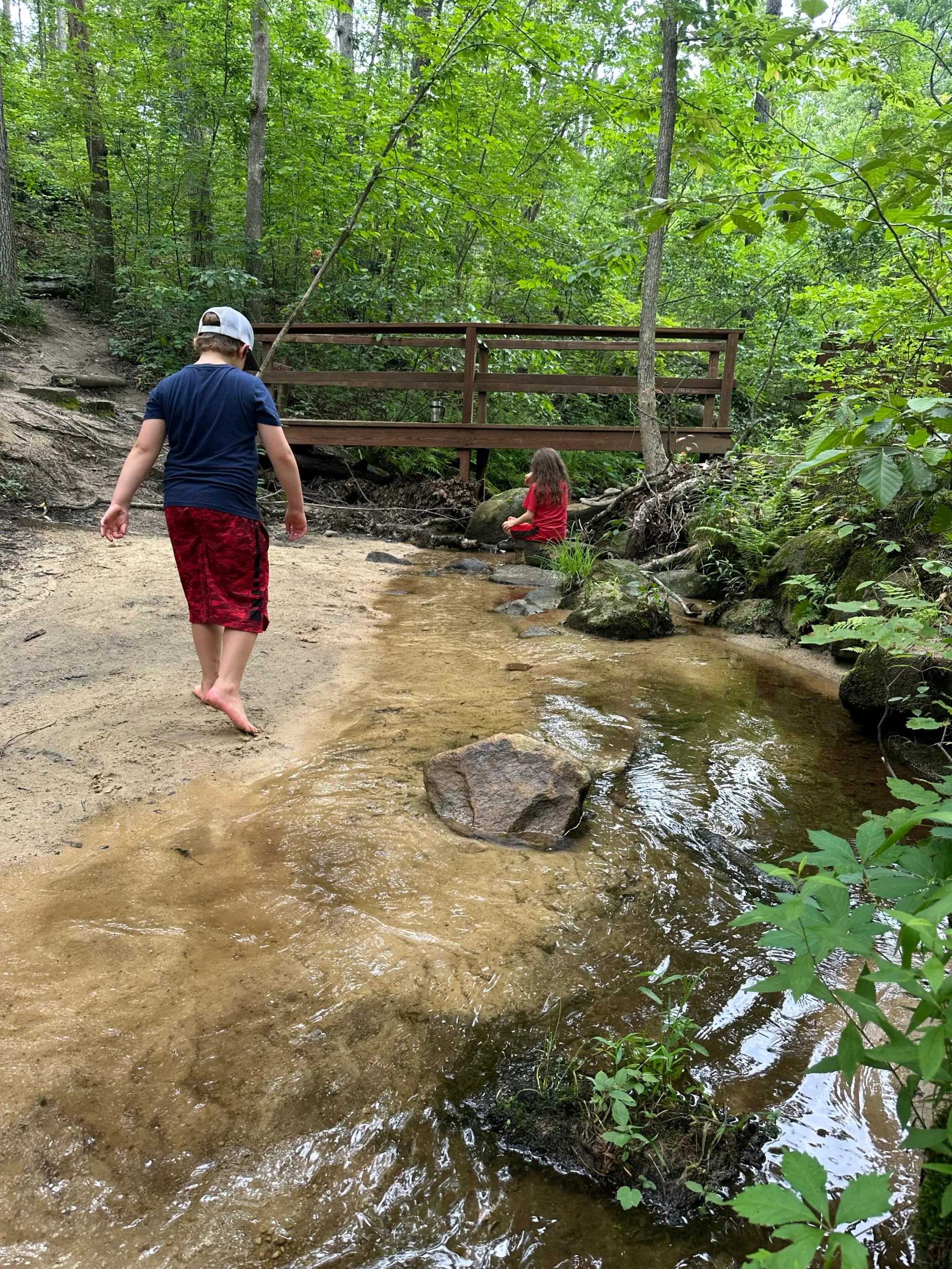 Pickle Springs Natural Area