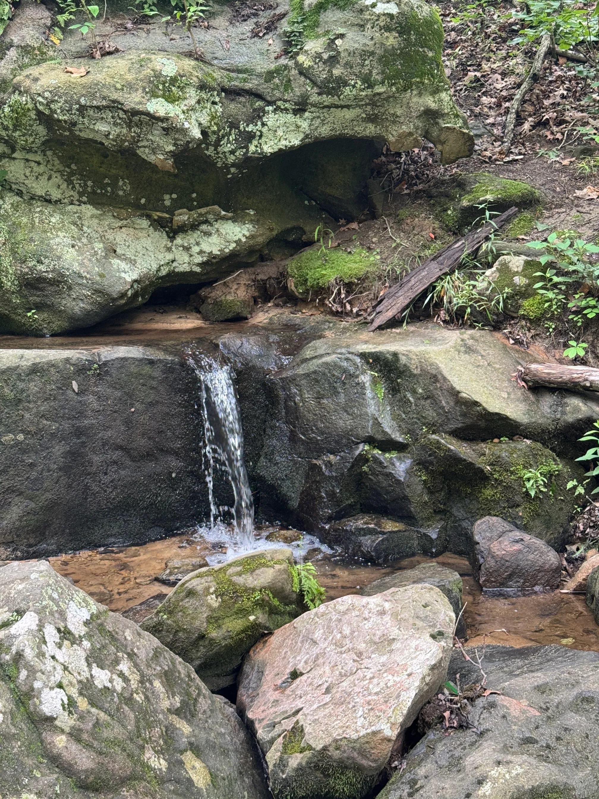 Pickle Springs Natural Area