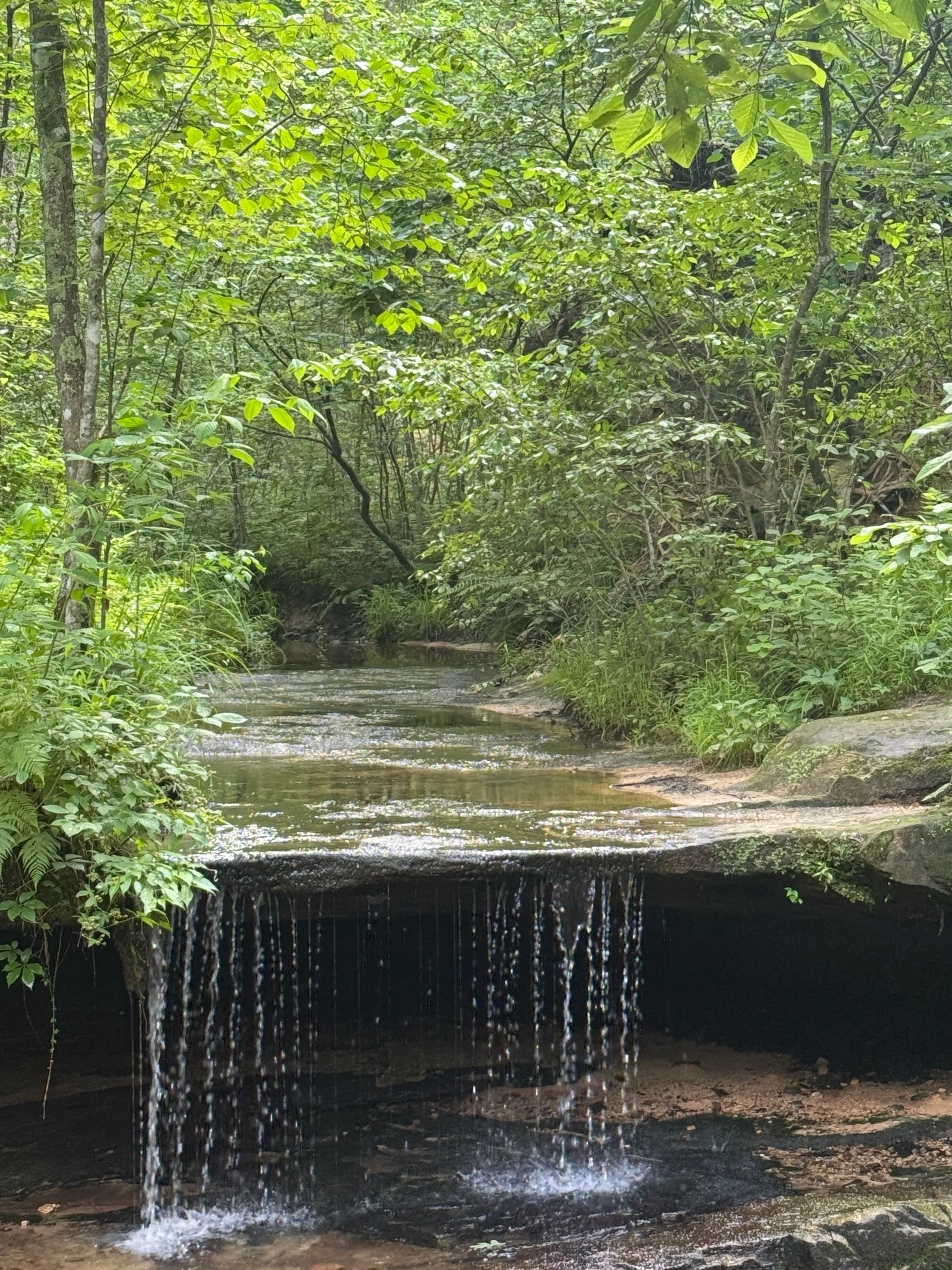 Pickle Springs Natural Area