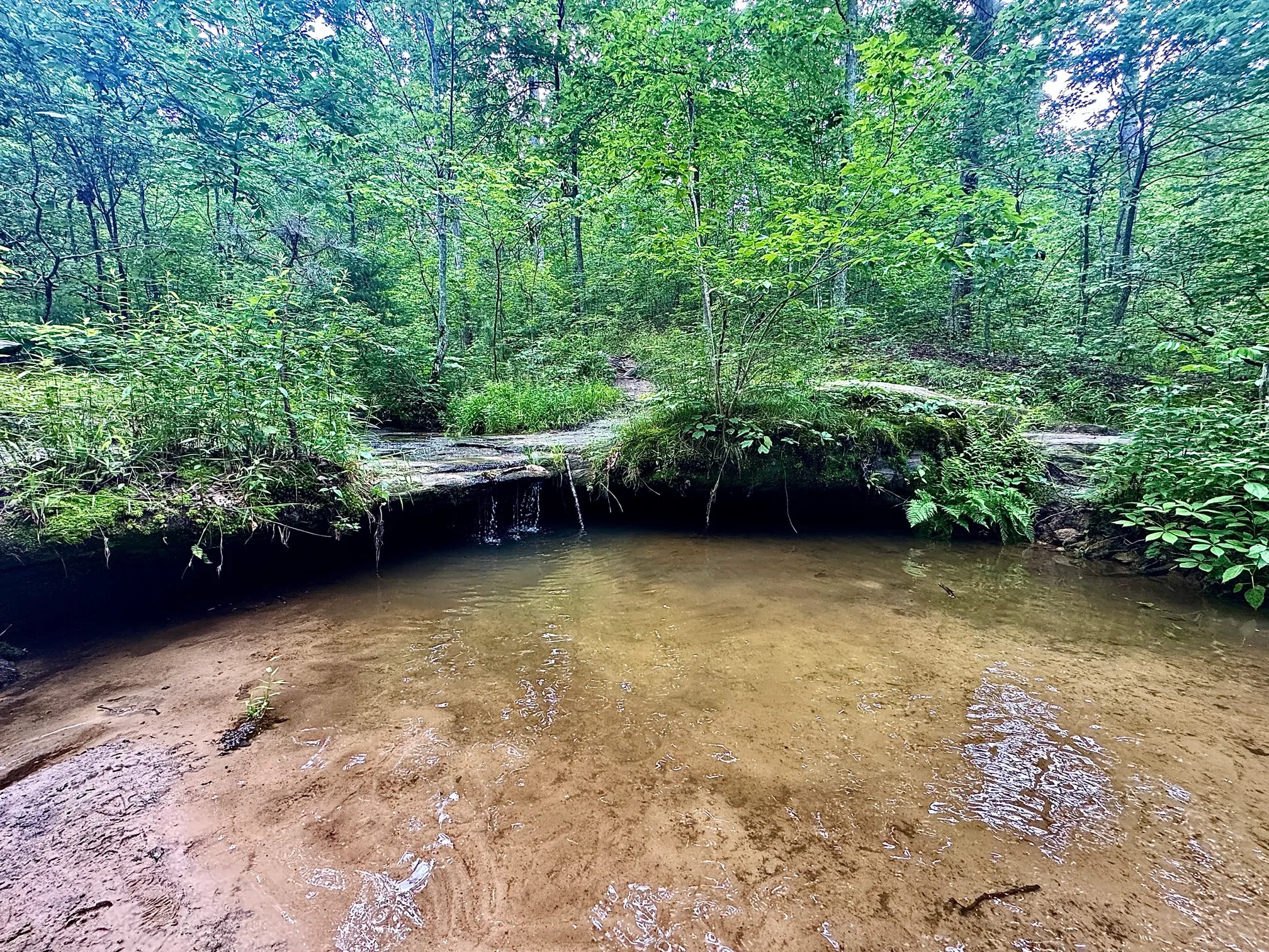 Pickle Springs Natural Area