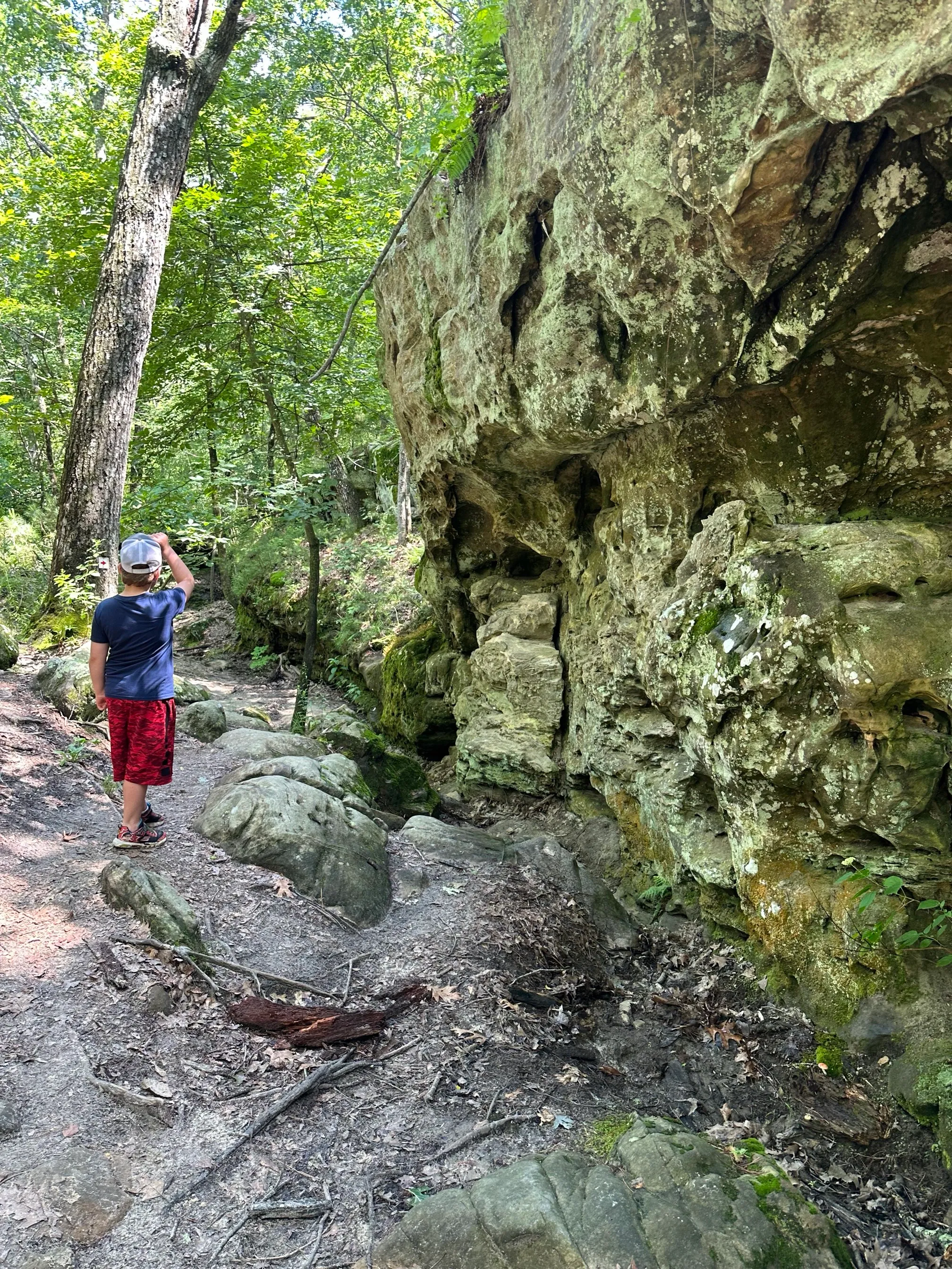 Pickle Springs Natural Area